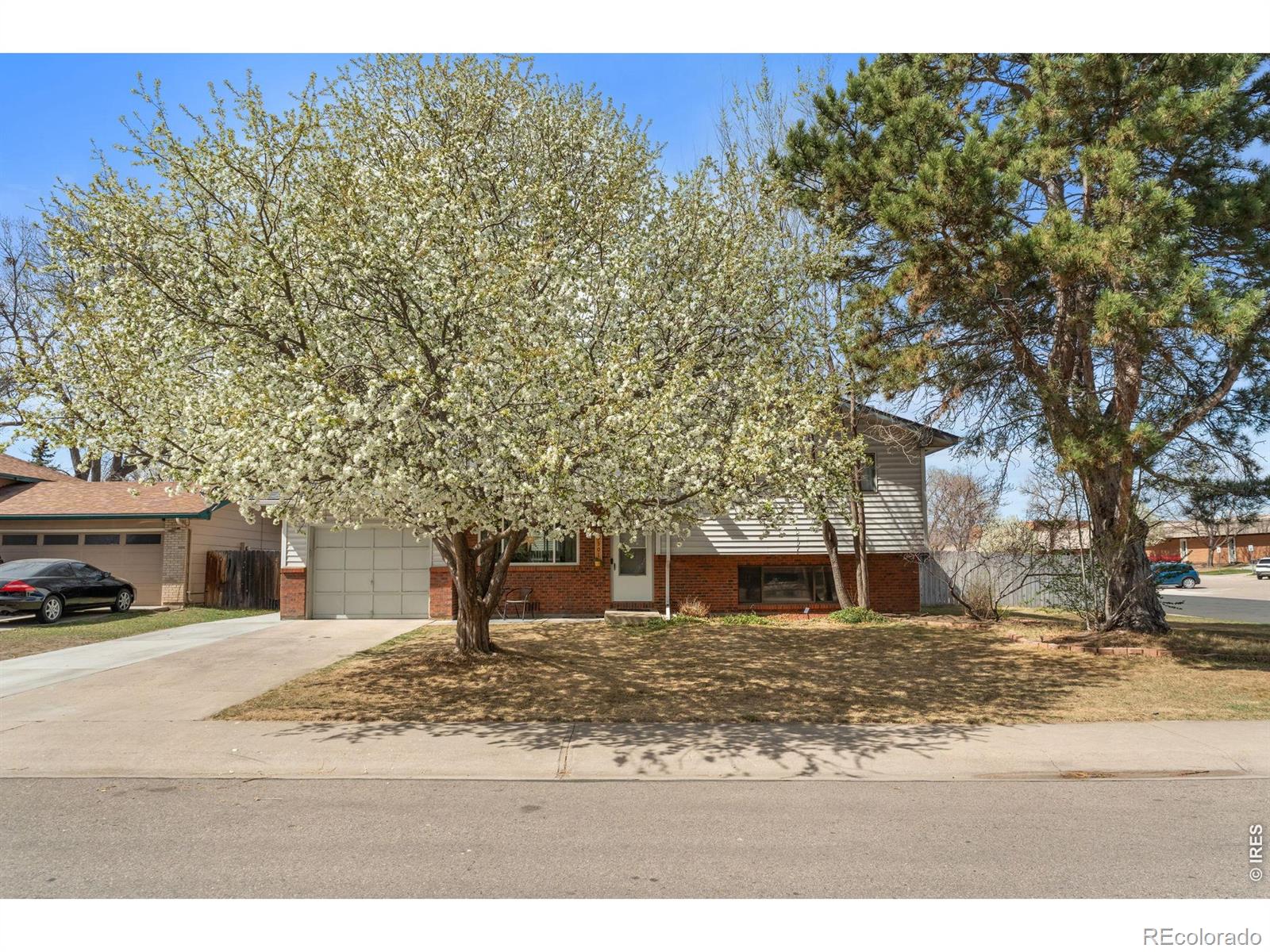 MLS Image #1 for 3301  camelot drive,fort collins, Colorado