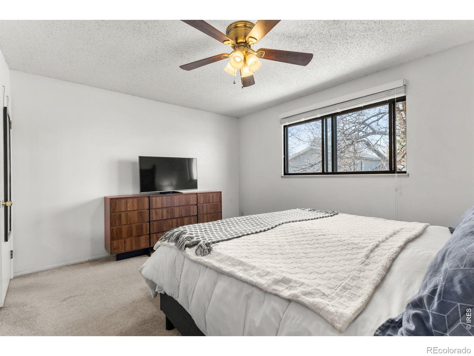 MLS Image #14 for 3301  camelot drive,fort collins, Colorado