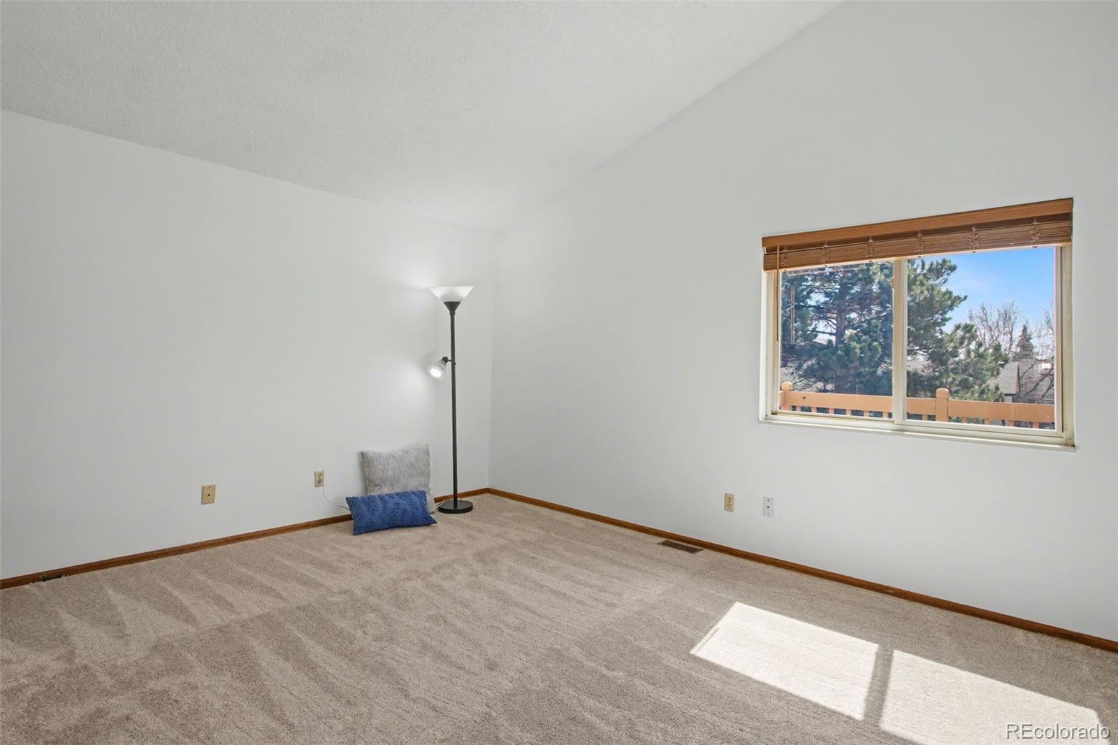 MLS Image #14 for 3875  thundercloud drive,colorado springs, Colorado