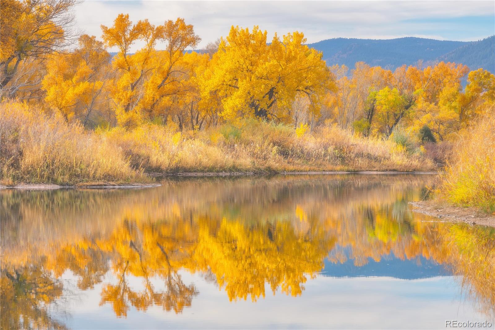 MLS Image #29 for 7205 w clifton avenue,littleton, Colorado
