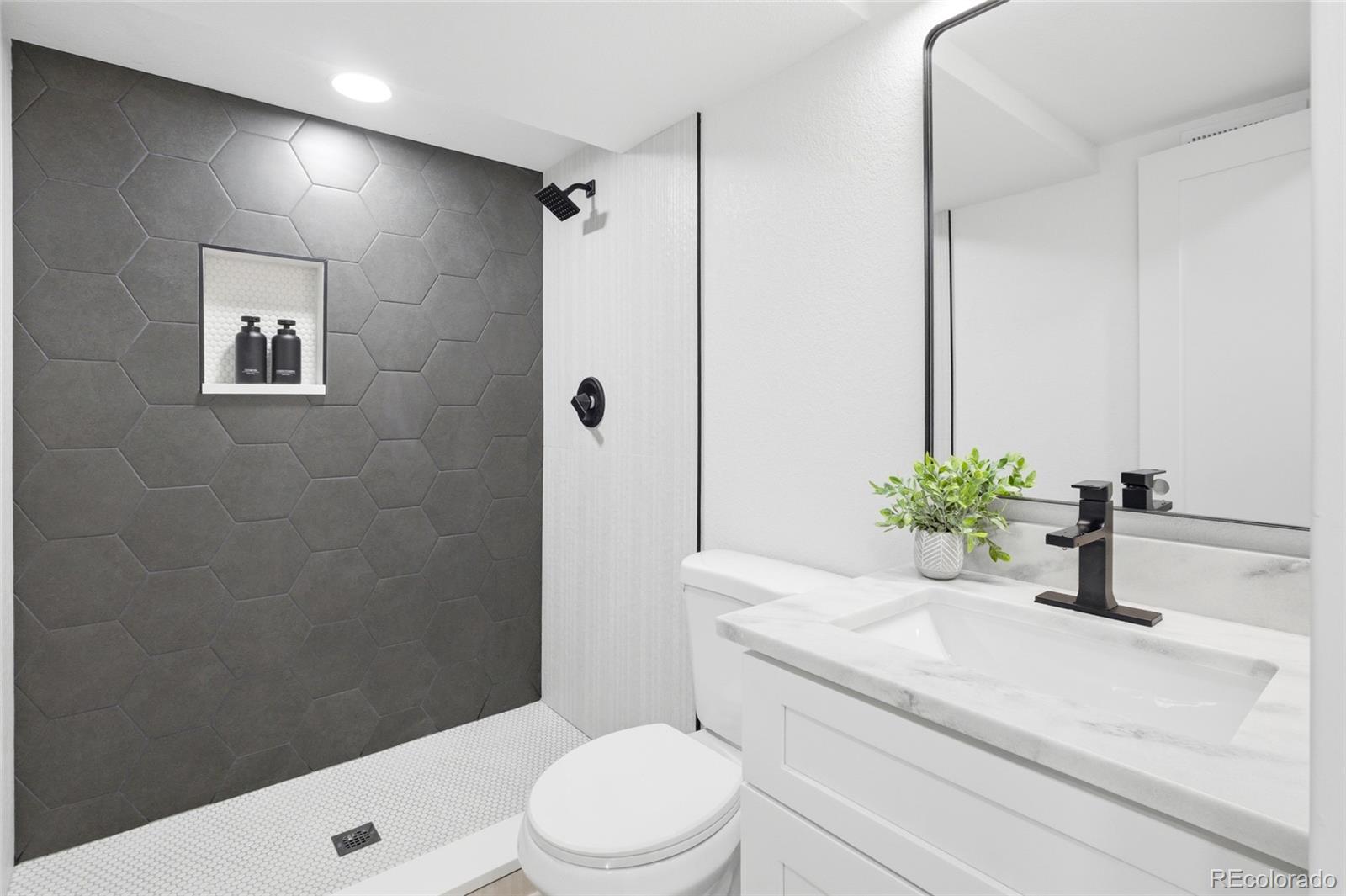 MLS Image #21 for 4711  granby way,denver, Colorado