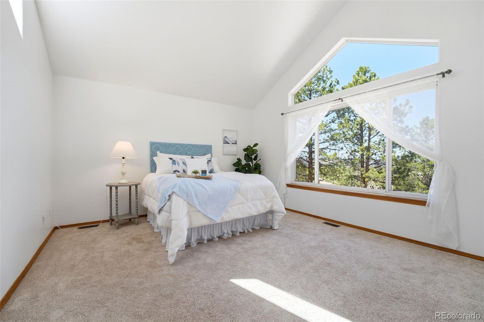 MLS Image #13 for 1100  pine ridge road,woodland park, Colorado