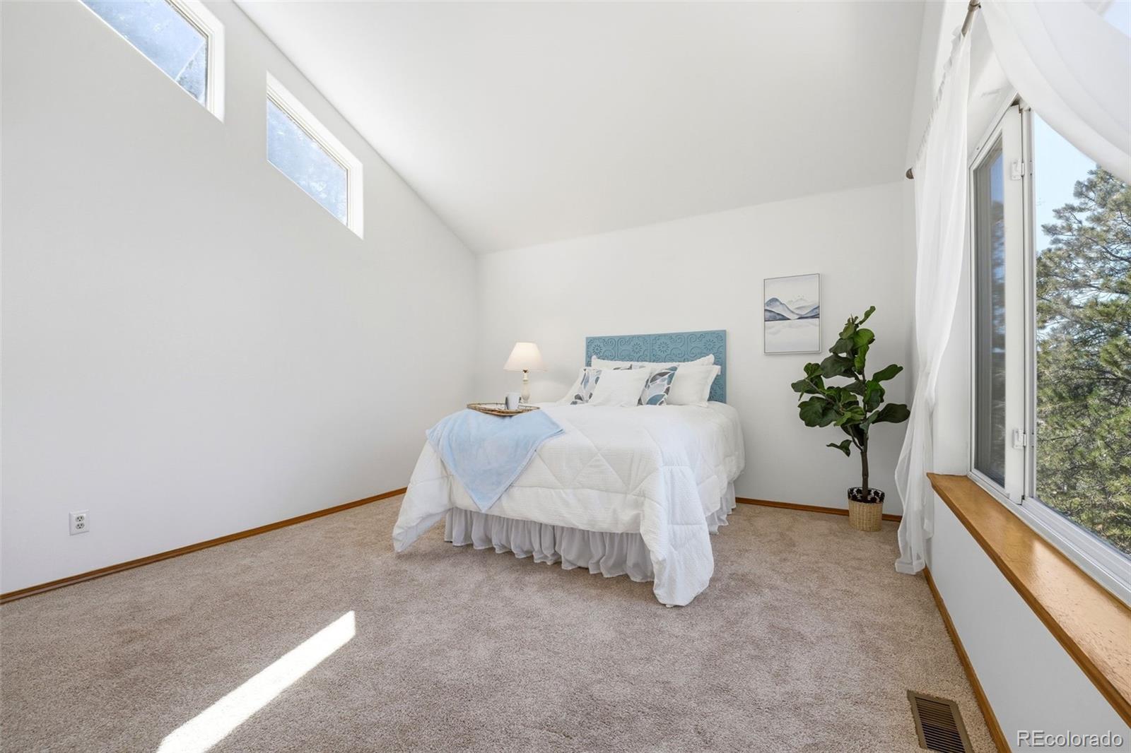 MLS Image #14 for 1100  pine ridge road,woodland park, Colorado