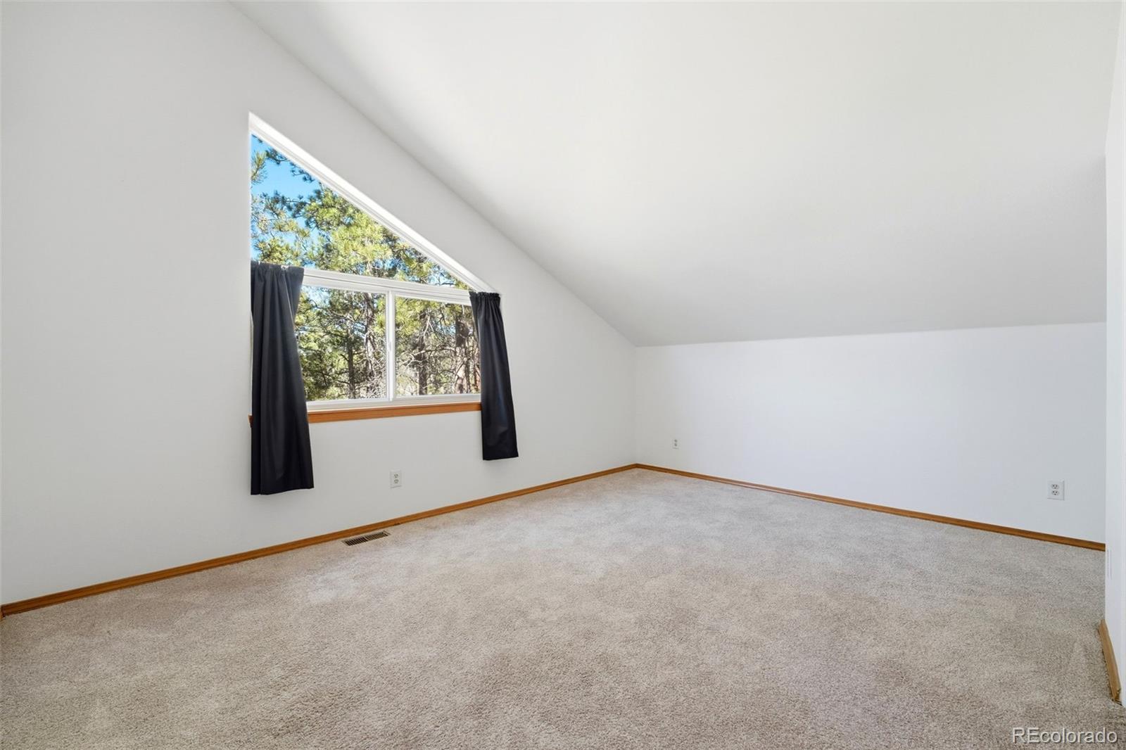 MLS Image #18 for 1100  pine ridge road,woodland park, Colorado
