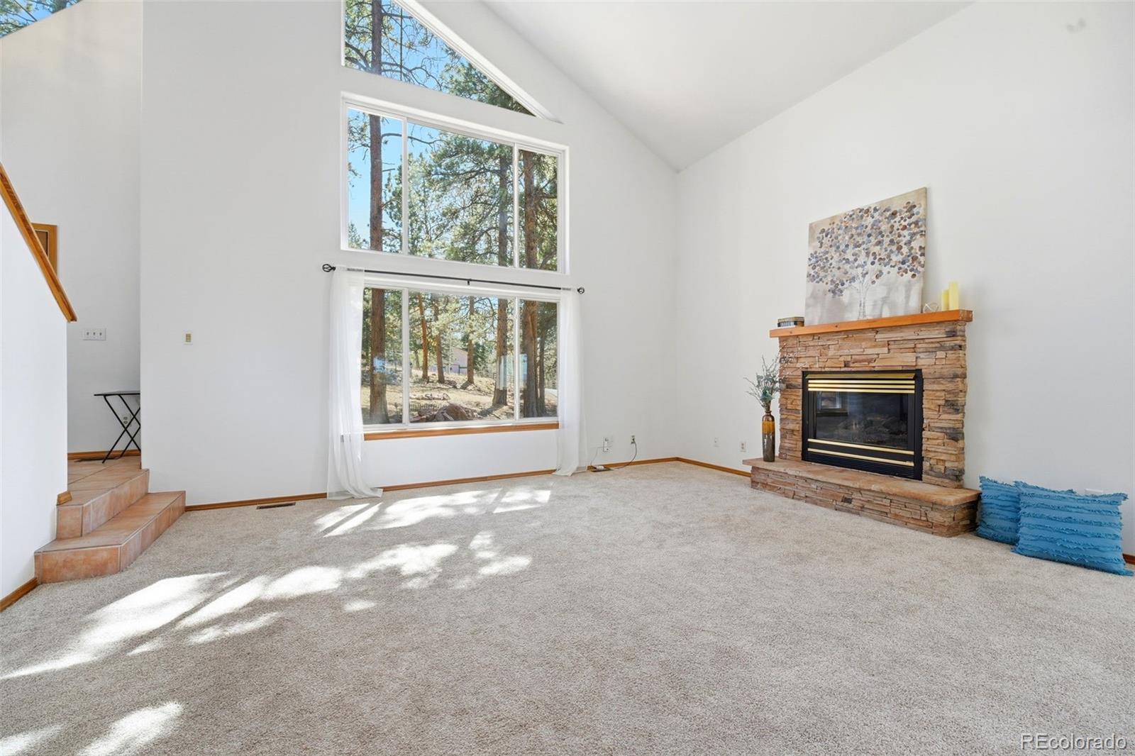 MLS Image #2 for 1100  pine ridge road,woodland park, Colorado