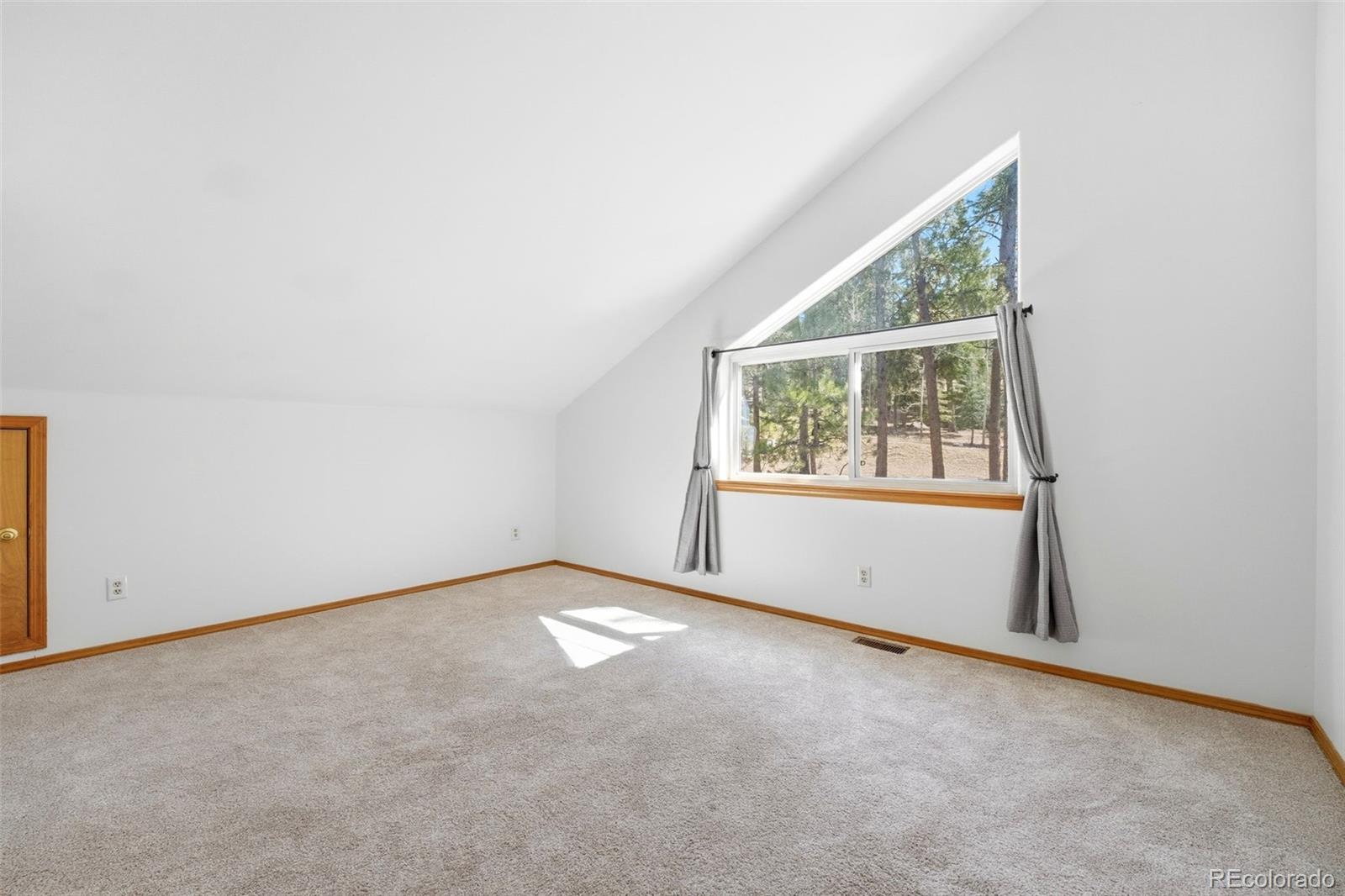 MLS Image #22 for 1100  pine ridge road,woodland park, Colorado
