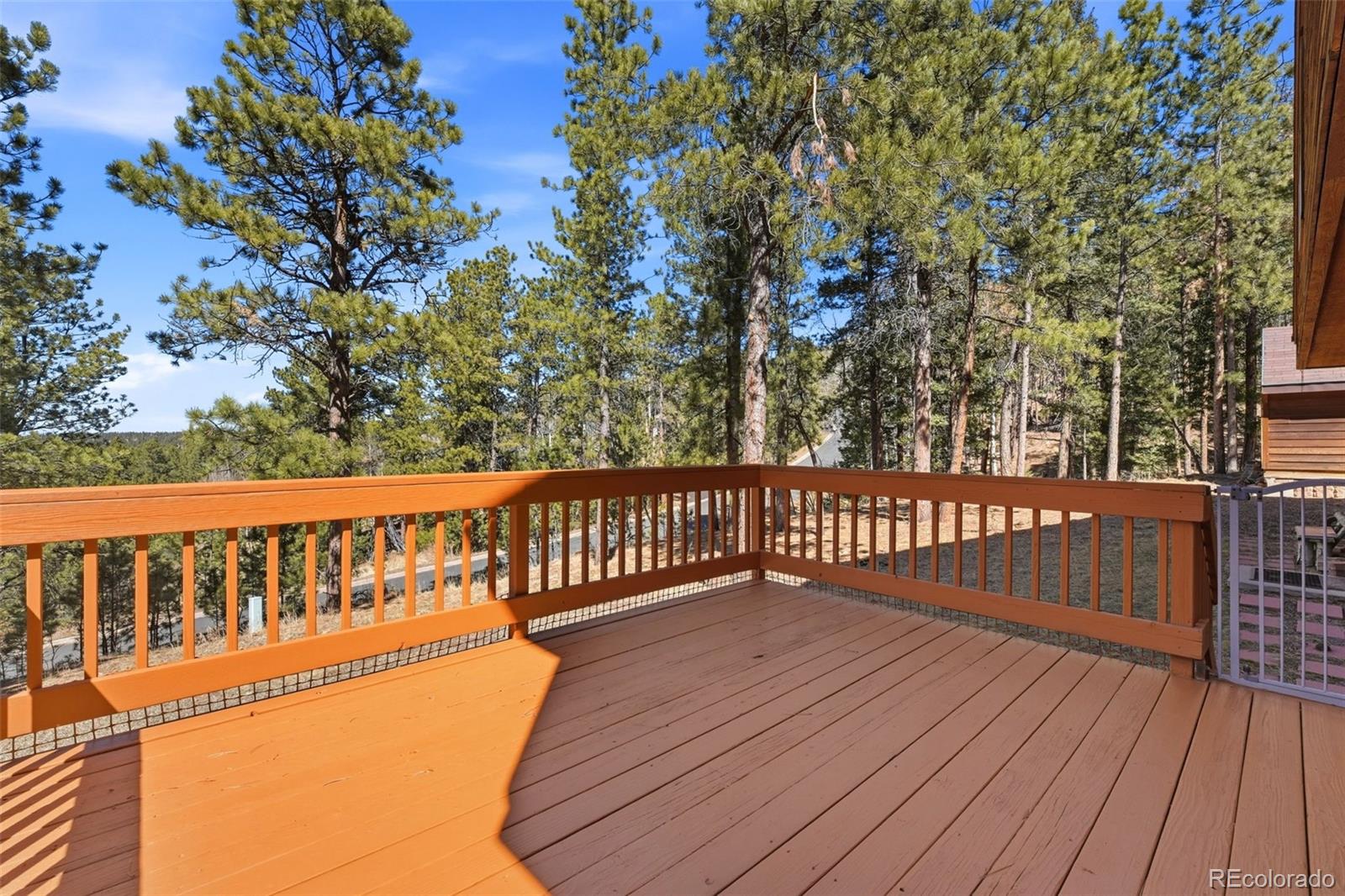 MLS Image #32 for 1100  pine ridge road,woodland park, Colorado