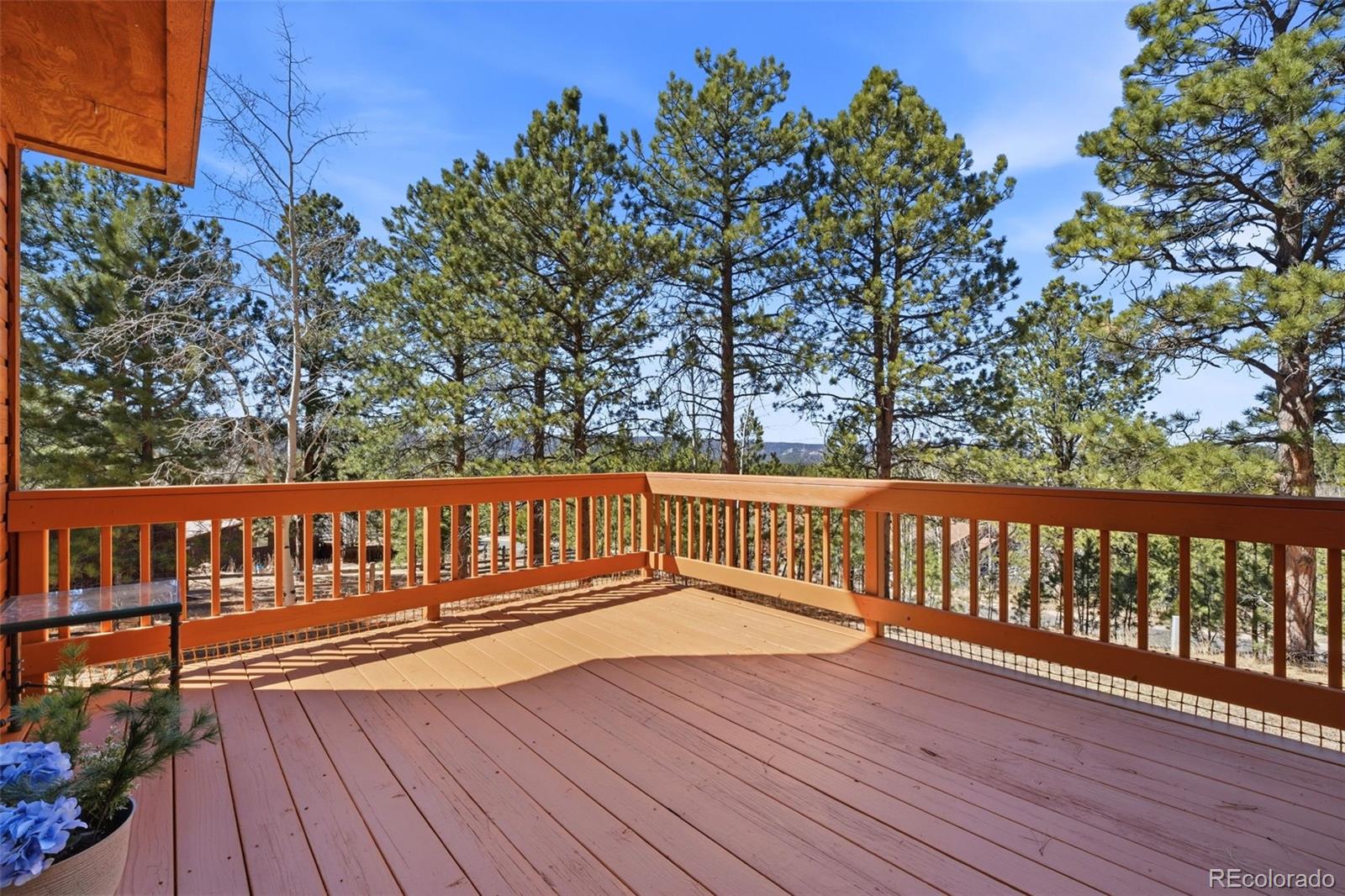 MLS Image #33 for 1100  pine ridge road,woodland park, Colorado