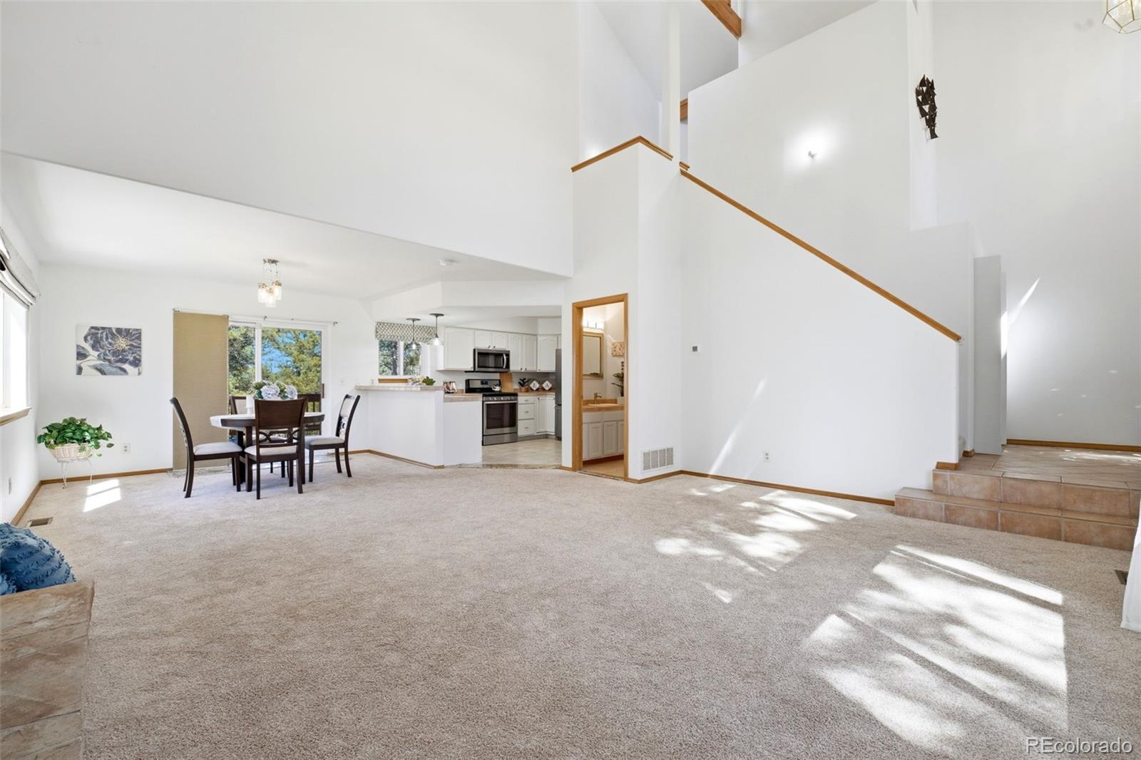 MLS Image #4 for 1100  pine ridge road,woodland park, Colorado