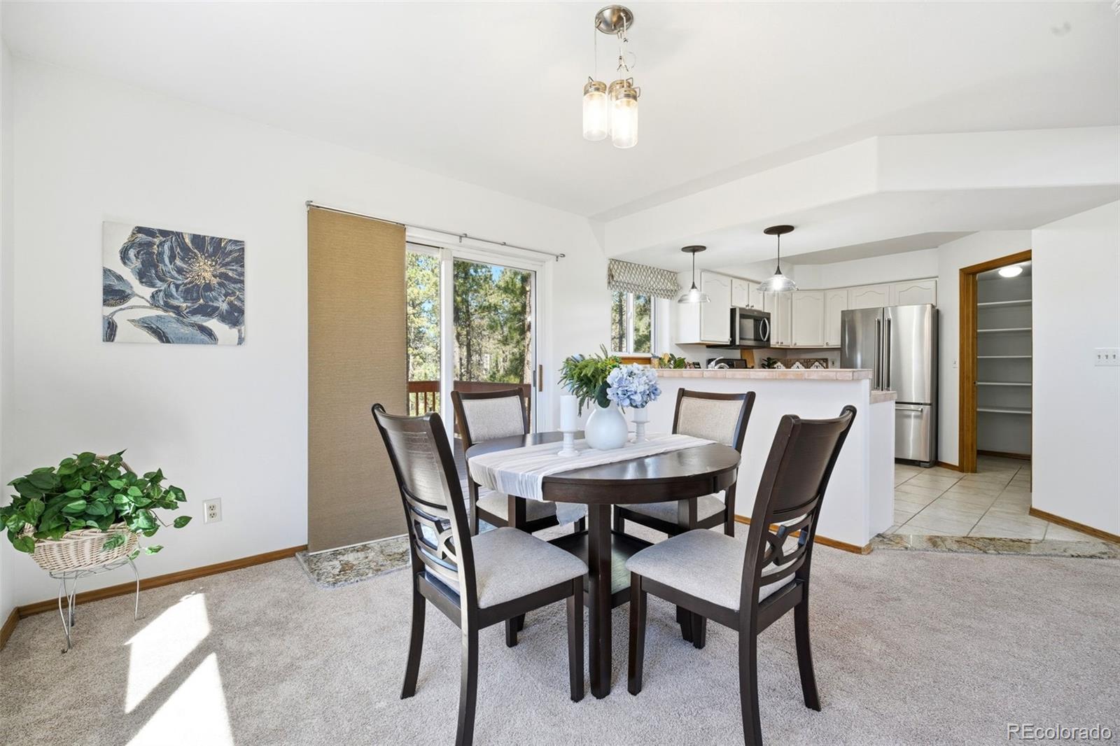 MLS Image #5 for 1100  pine ridge road,woodland park, Colorado