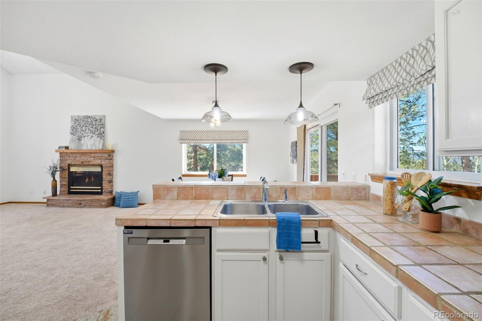 MLS Image #8 for 1100  pine ridge road,woodland park, Colorado