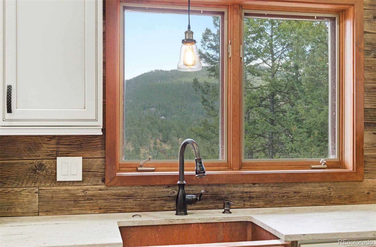 MLS Image #14 for 27971  bonanza drive,evergreen, Colorado