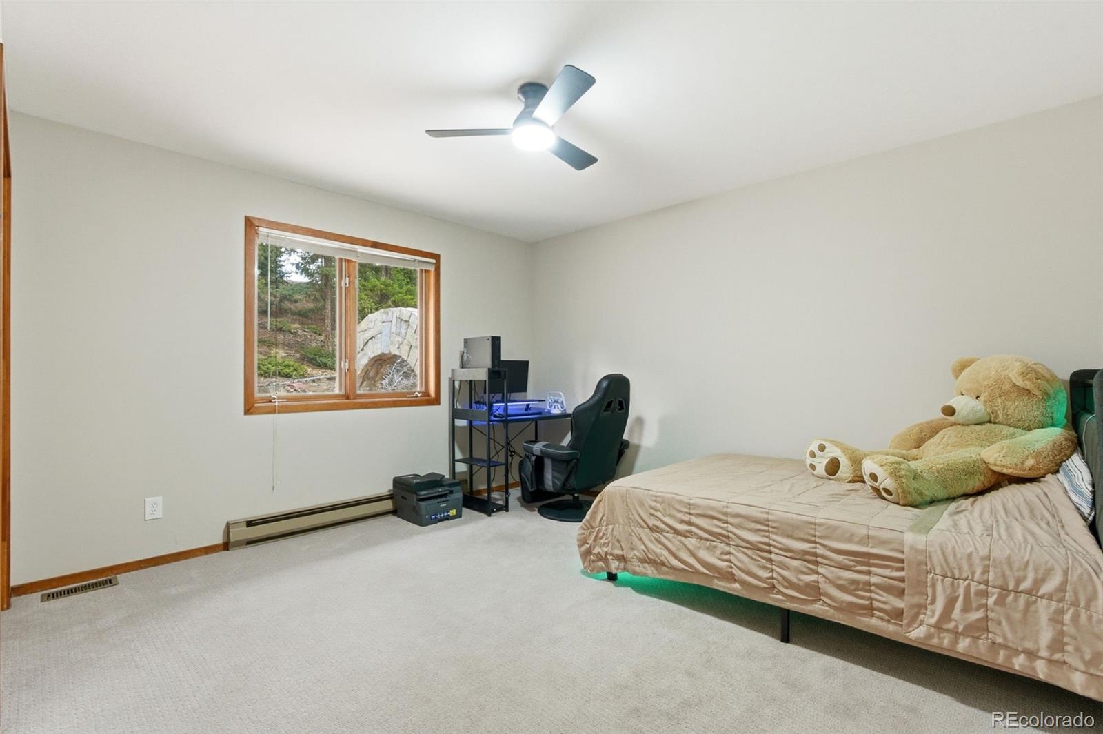 MLS Image #19 for 27971  bonanza drive,evergreen, Colorado