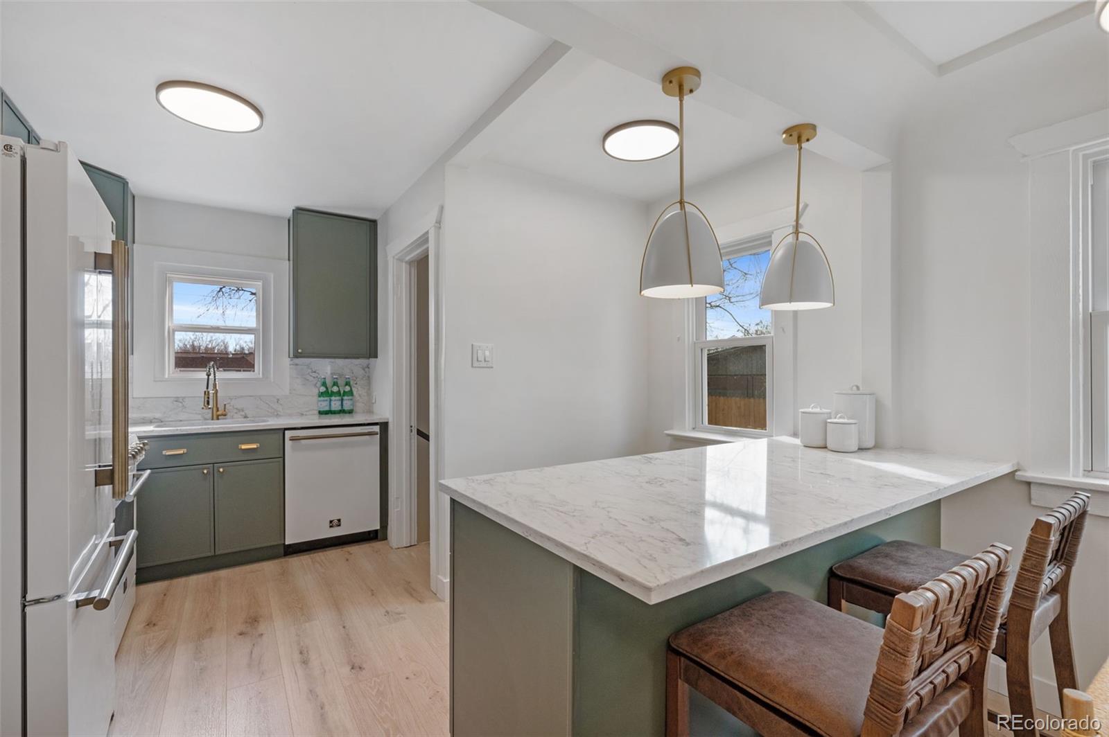MLS Image #16 for 2226 s corona street,denver, Colorado