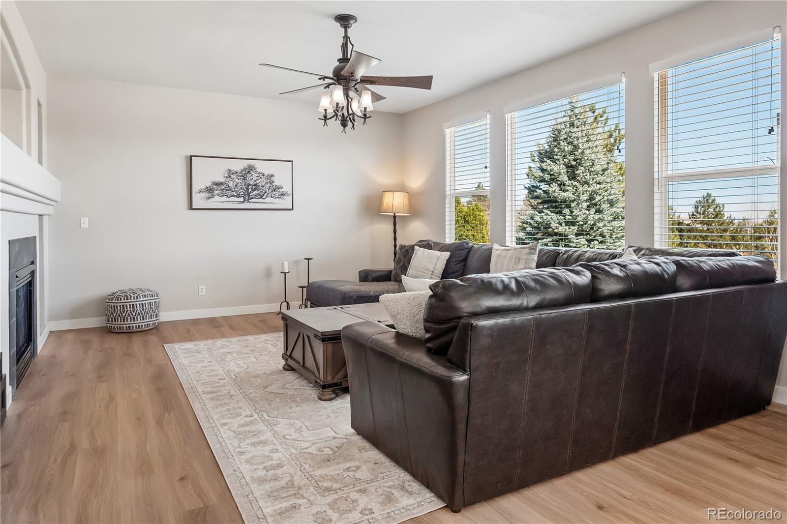 MLS Image #10 for 10836  hickory ridge lane,highlands ranch, Colorado