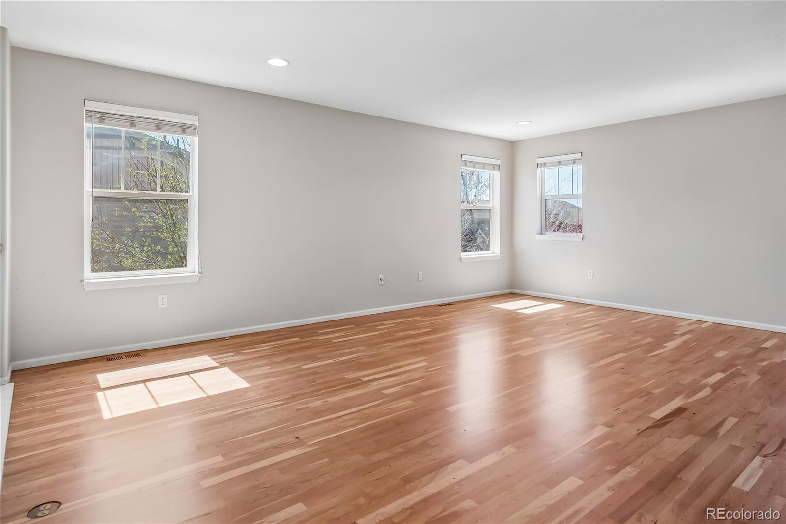MLS Image #15 for 10836  hickory ridge lane,highlands ranch, Colorado
