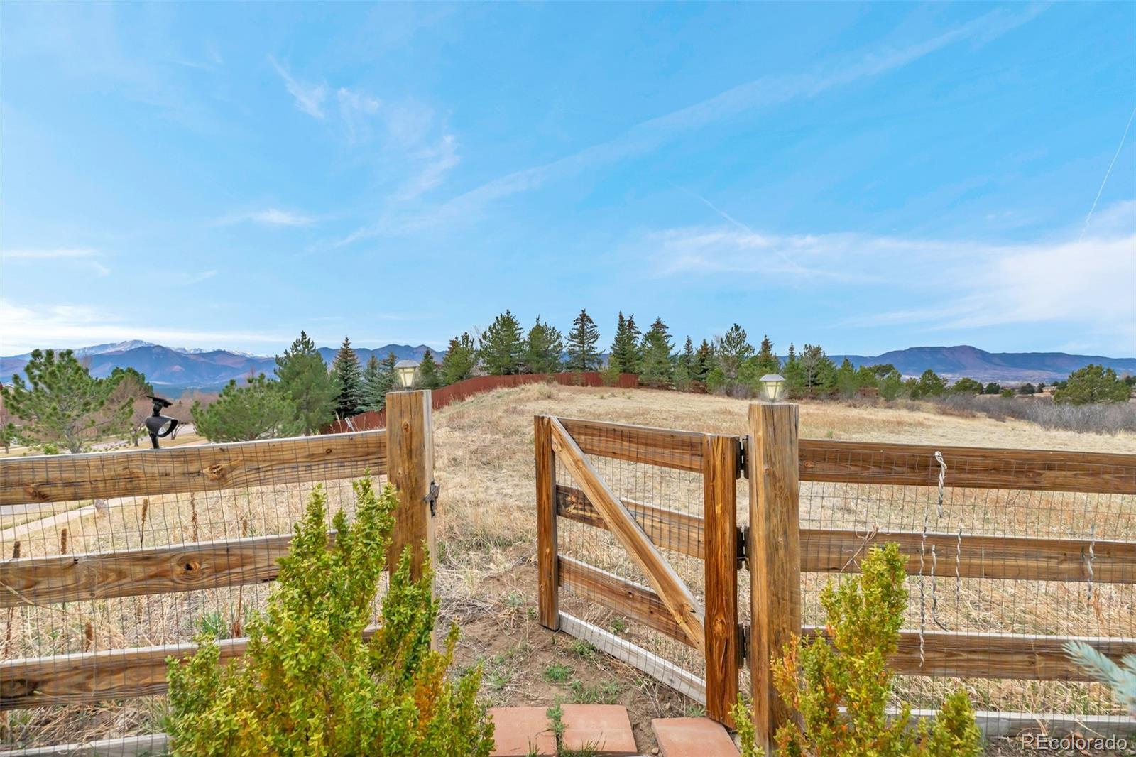 MLS Image #10 for 402  coyote willow drive,colorado springs, Colorado