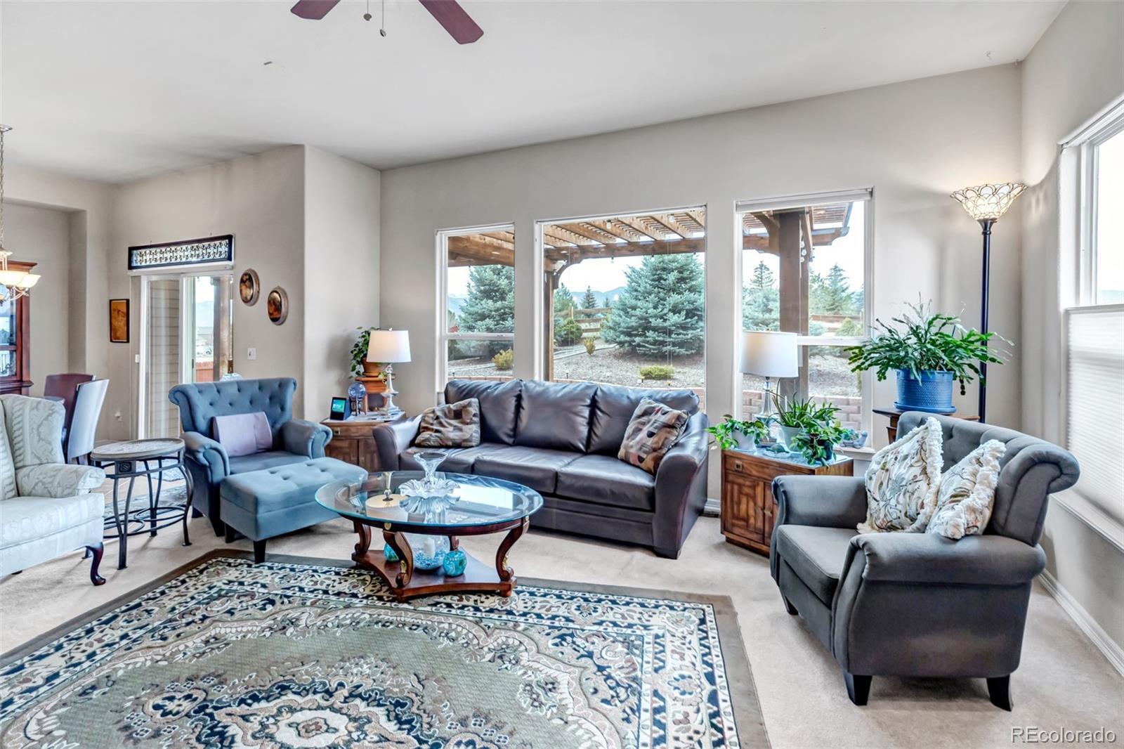 MLS Image #21 for 402  coyote willow drive,colorado springs, Colorado