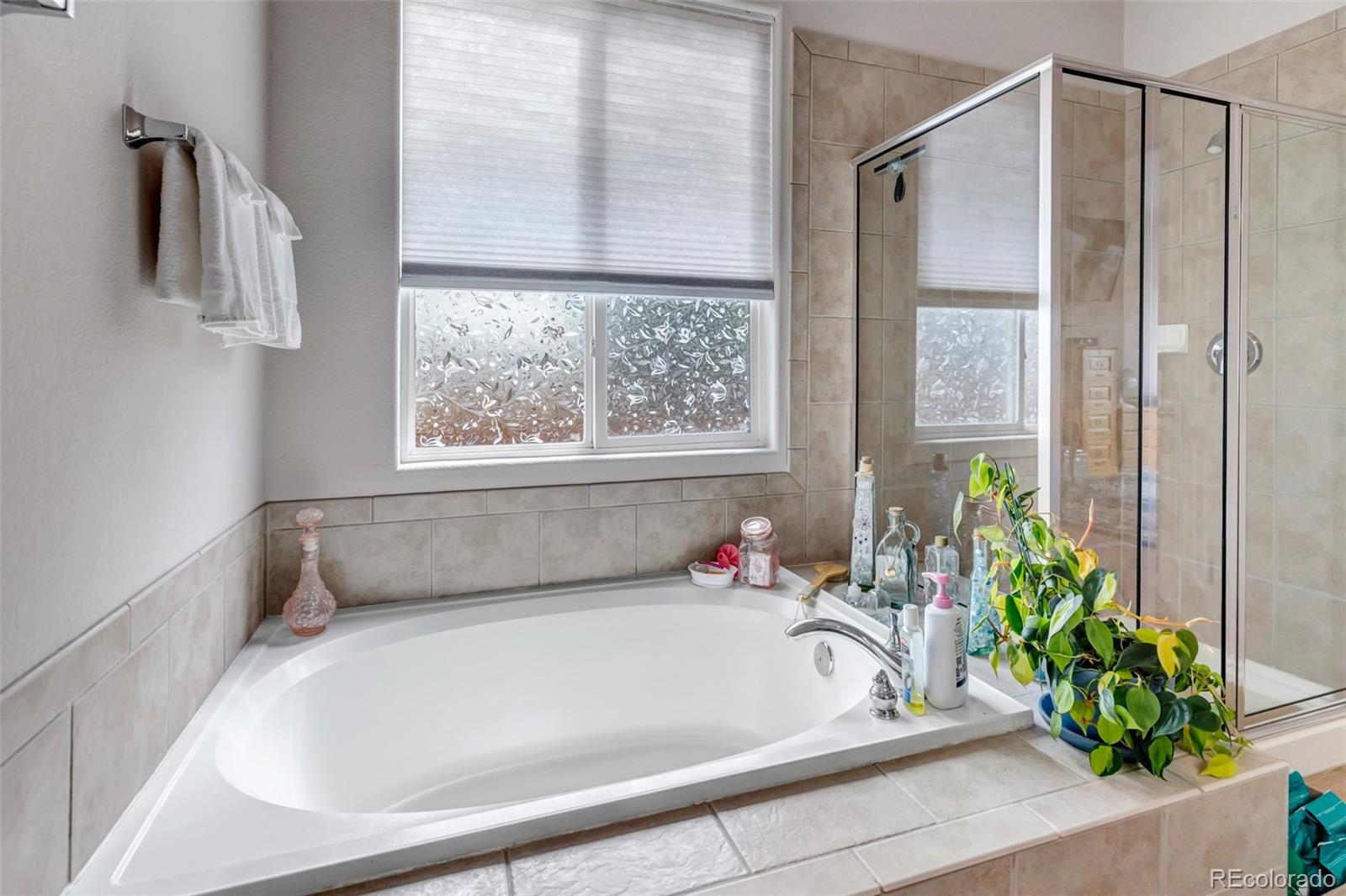 MLS Image #26 for 402  coyote willow drive,colorado springs, Colorado