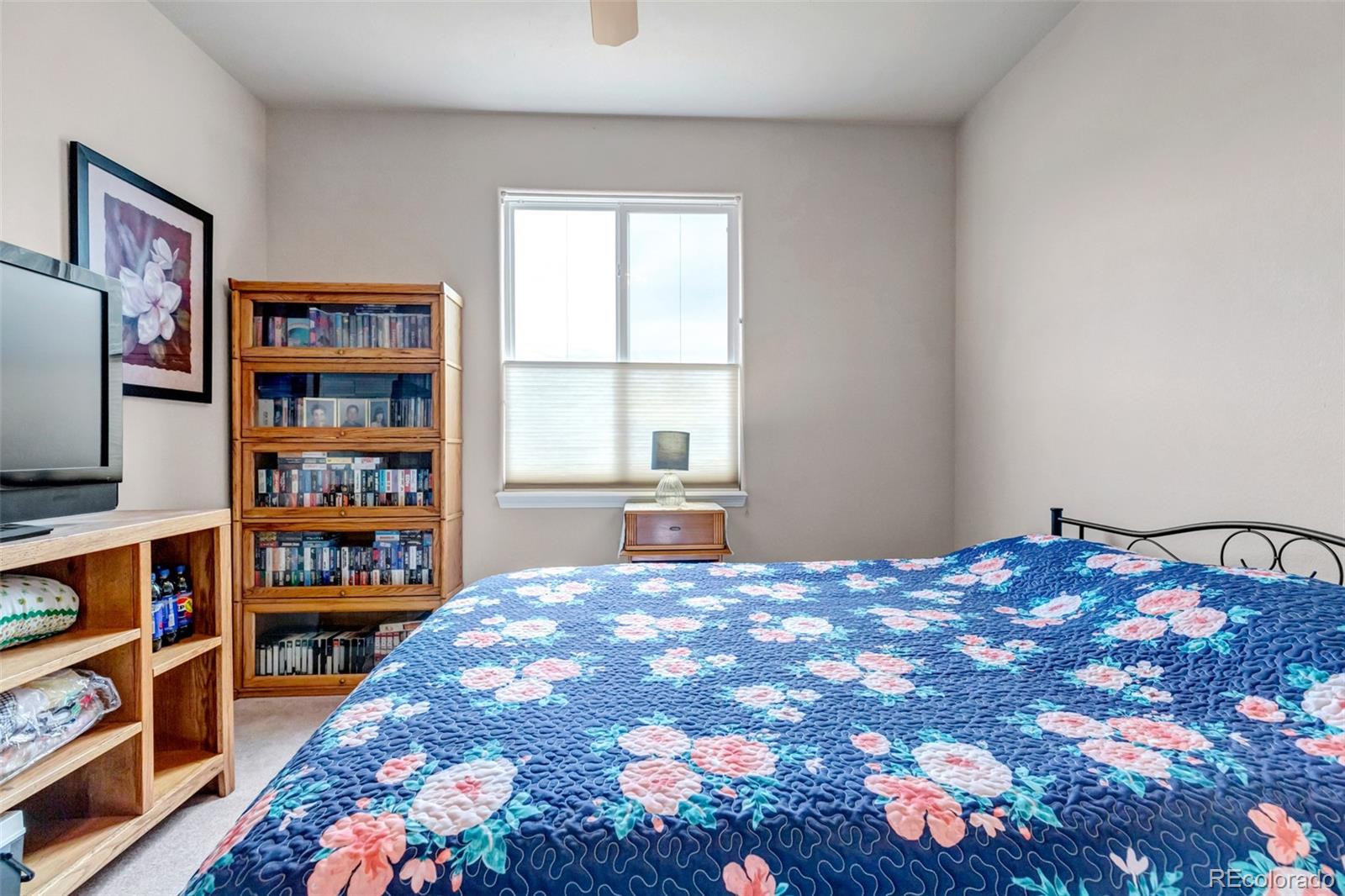 MLS Image #33 for 402  coyote willow drive,colorado springs, Colorado