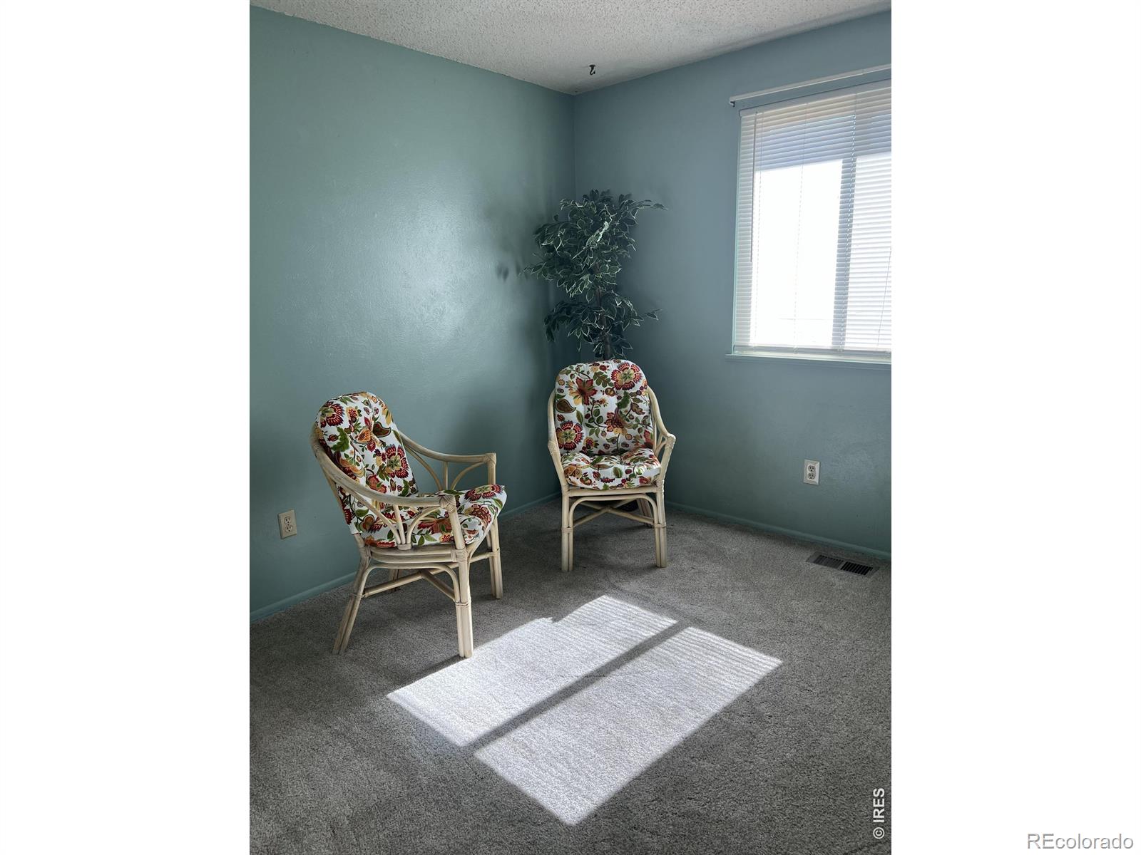 MLS Image #8 for 11506  adams street,thornton, Colorado