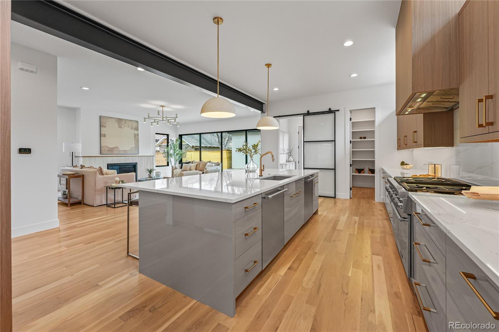 MLS Image #7 for 750 s corona street,denver, Colorado