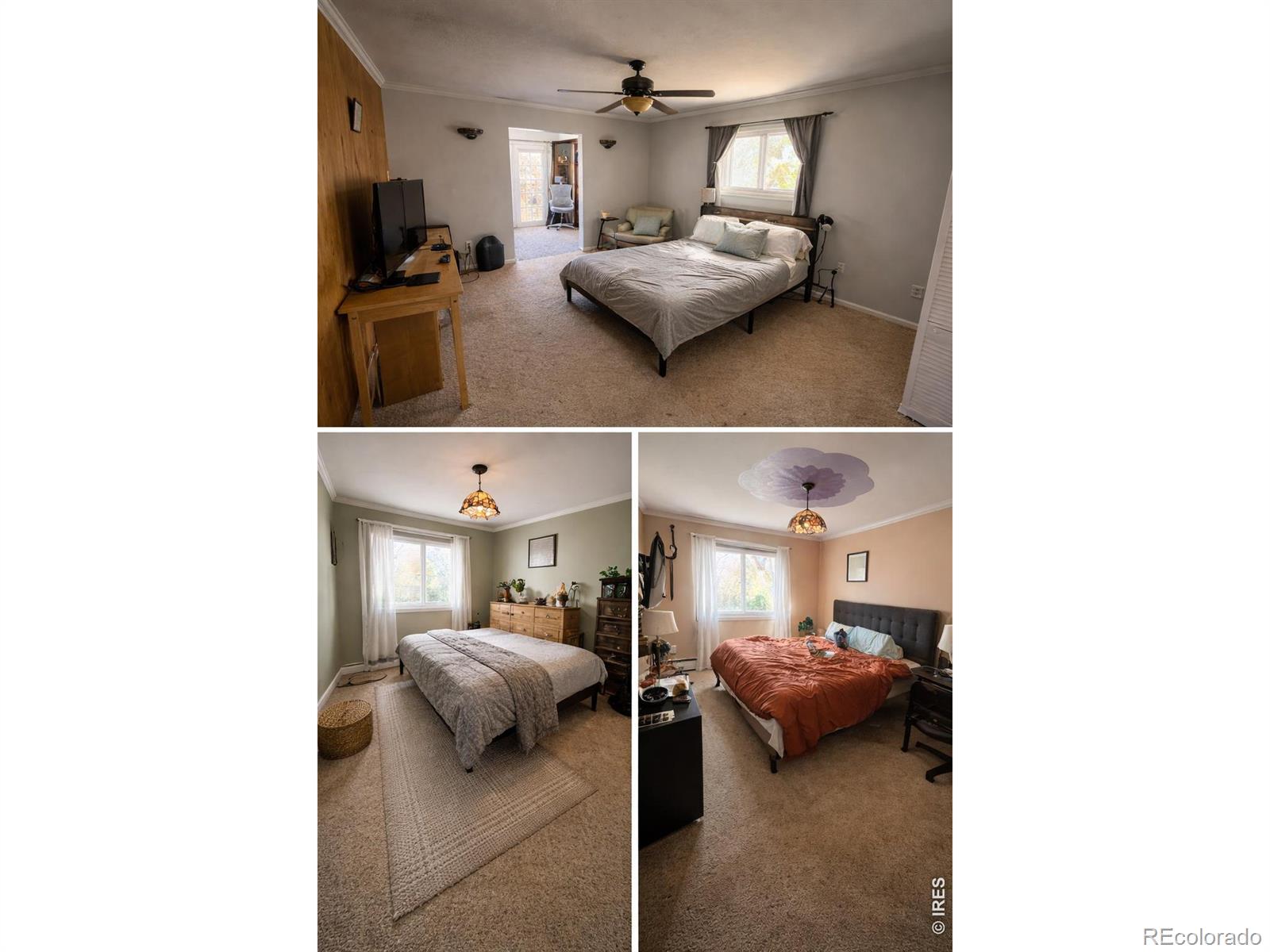 MLS Image #8 for 5588  pioneer road,boulder, Colorado