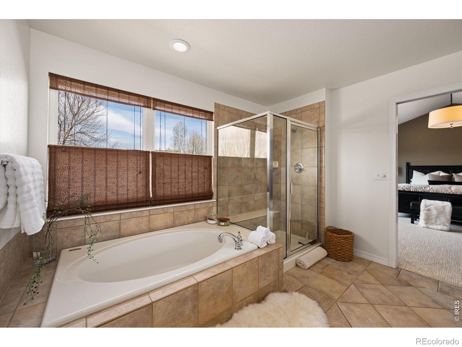 MLS Image #18 for 6109  keswick court,fort collins, Colorado