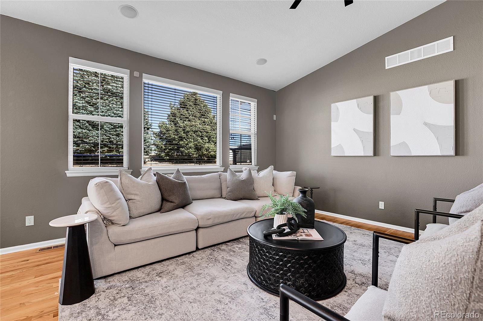 MLS Image #12 for 3220 s nepal way,aurora, Colorado