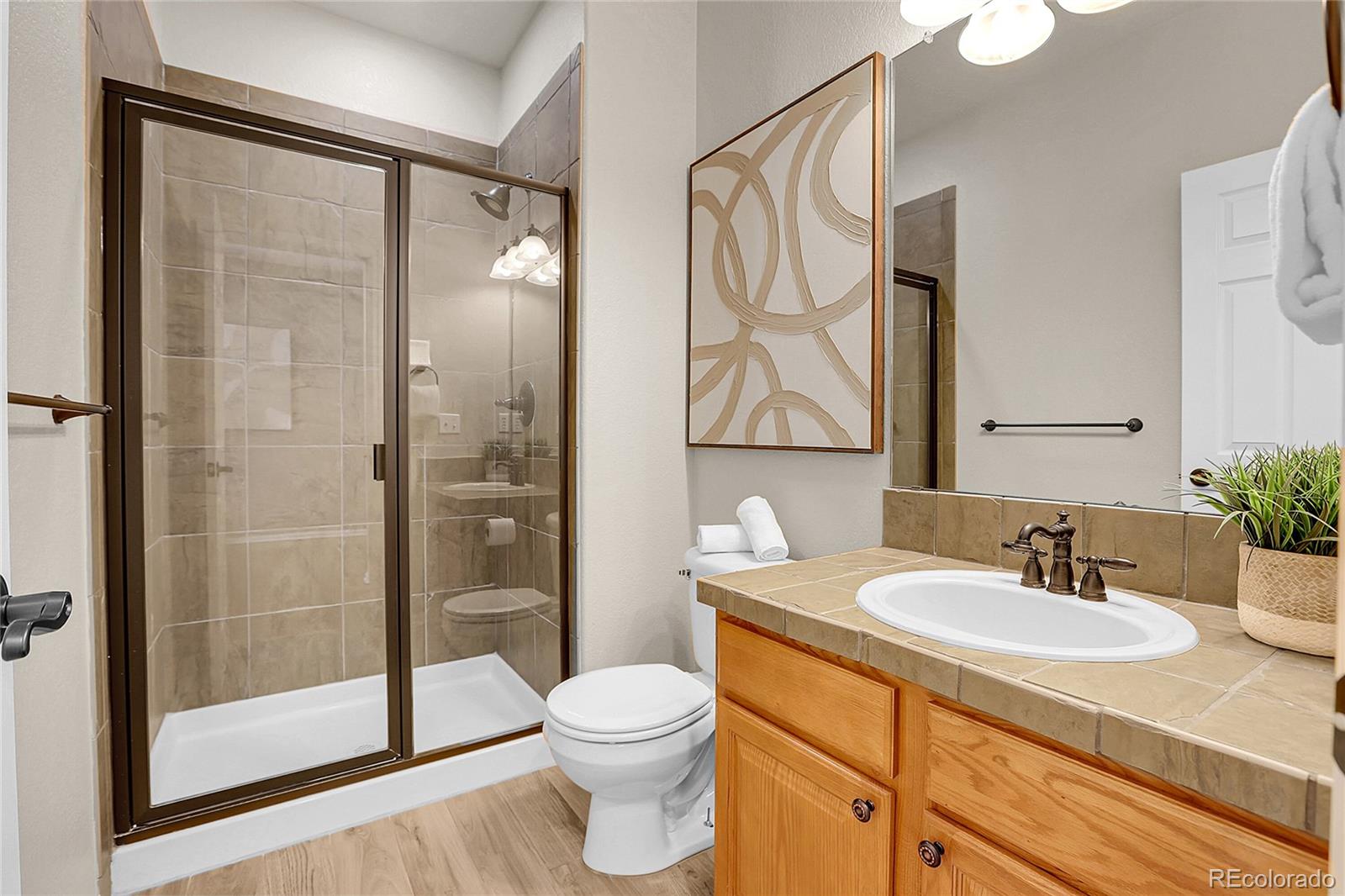 MLS Image #14 for 3220 s nepal way,aurora, Colorado