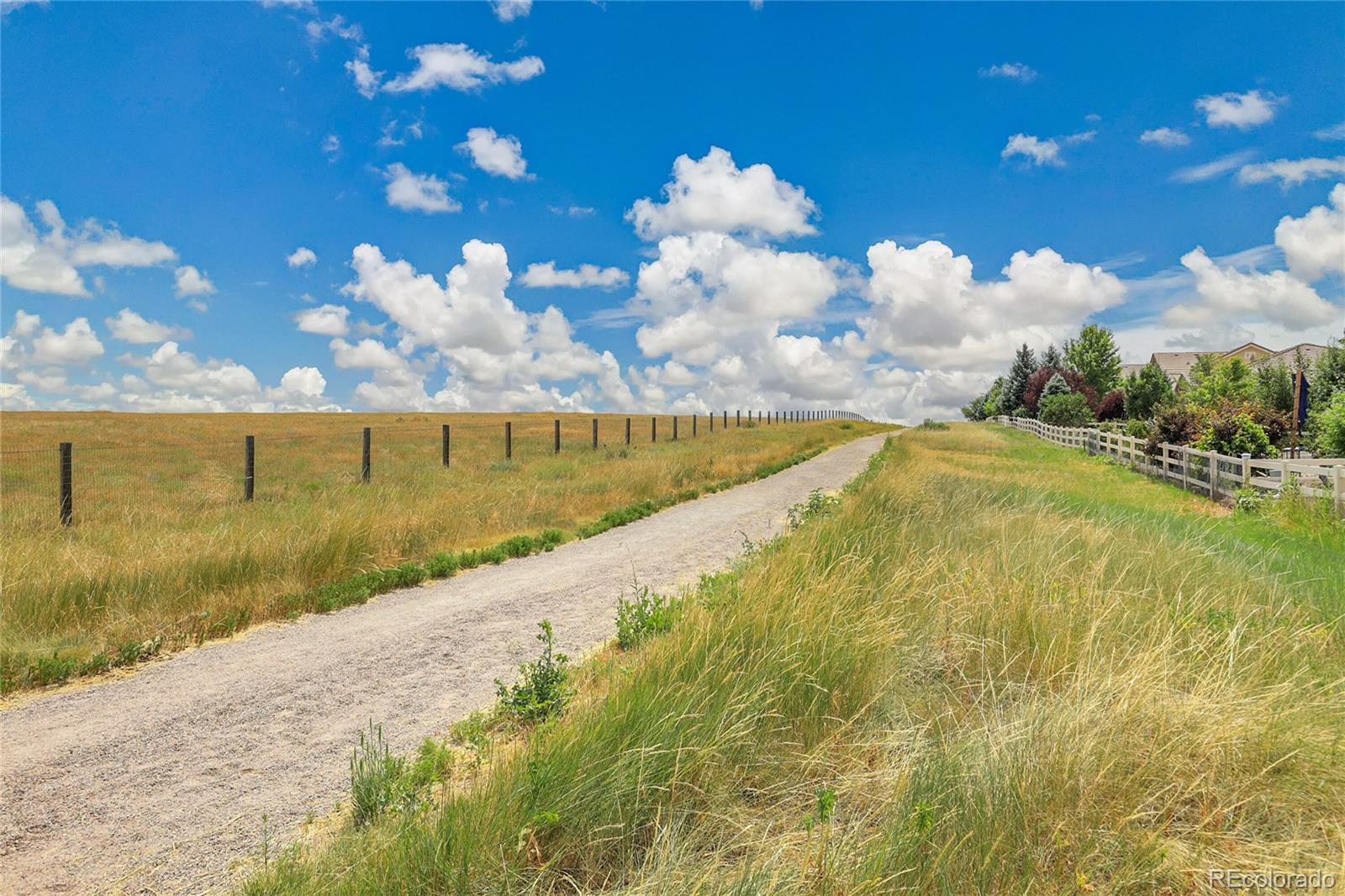MLS Image #45 for 3220 s nepal way,aurora, Colorado