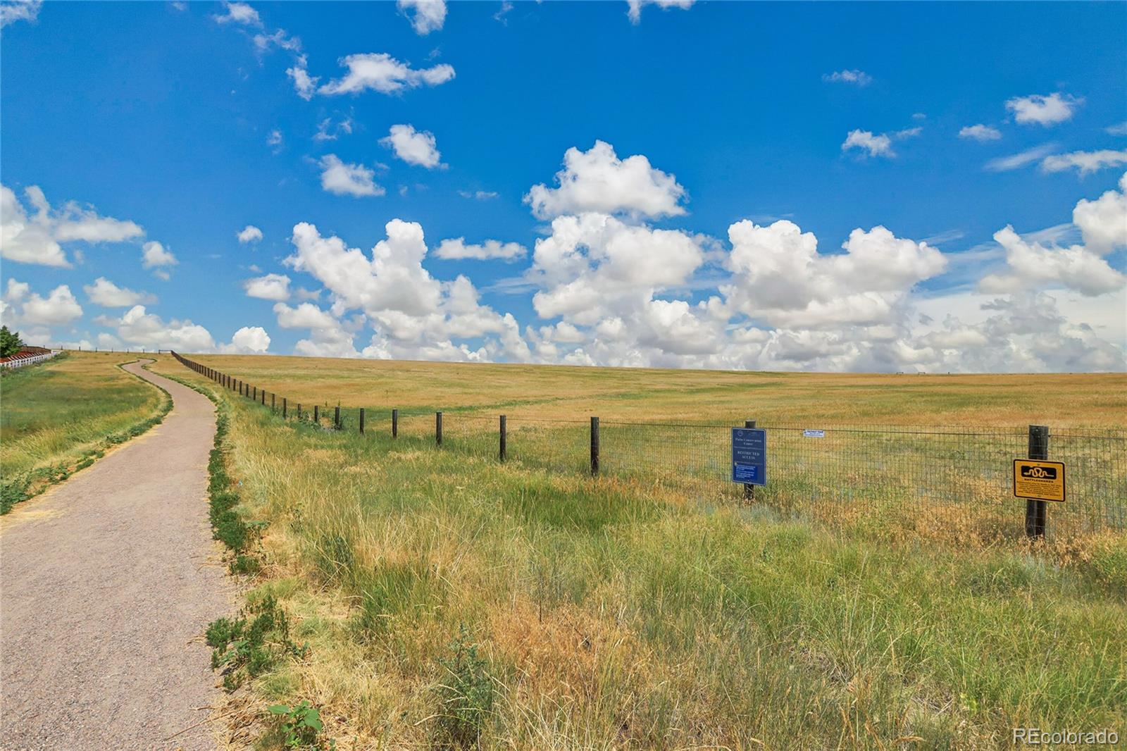 MLS Image #46 for 3220 s nepal way,aurora, Colorado