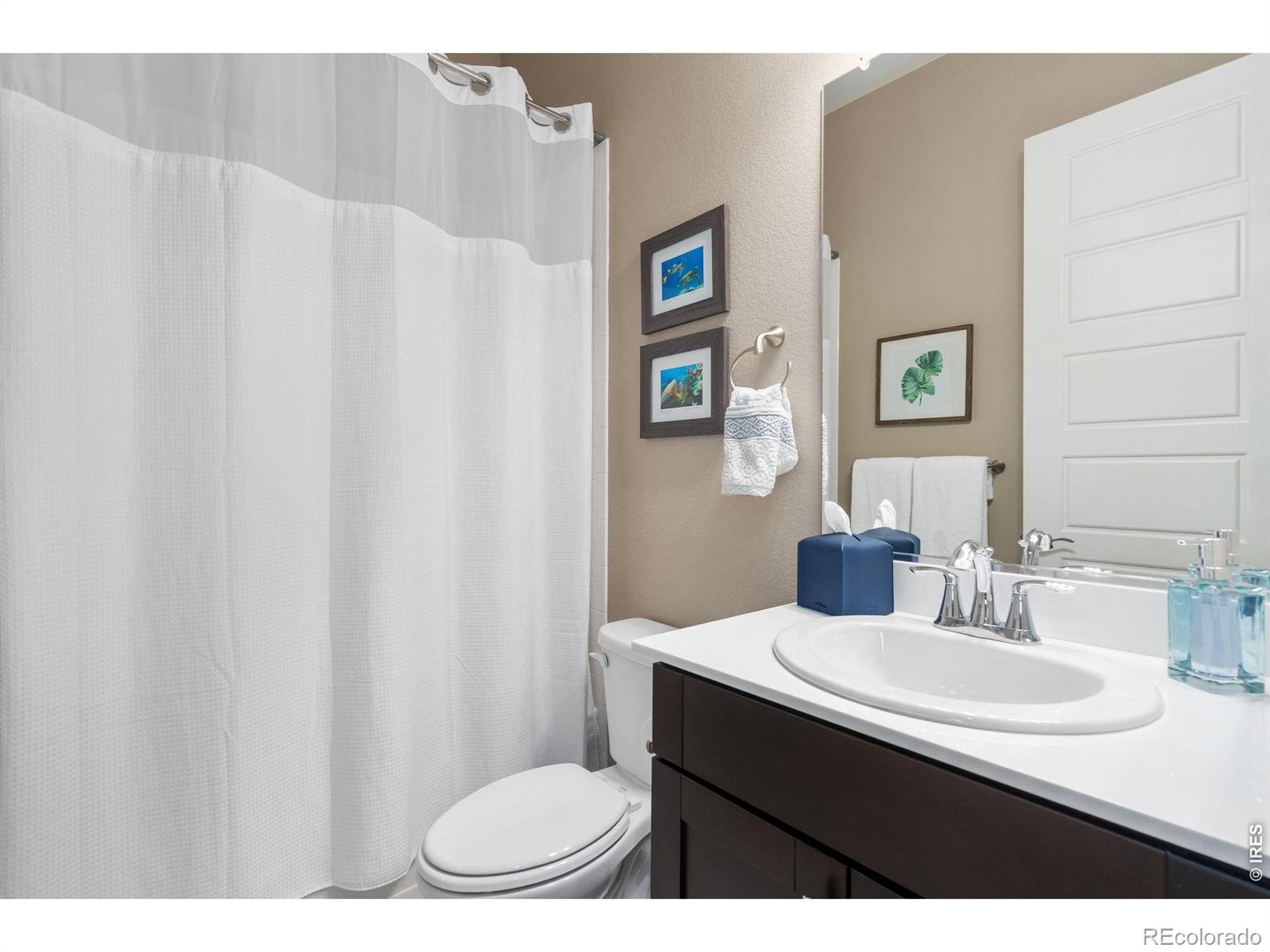 MLS Image #23 for 5879  story road,timnath, Colorado