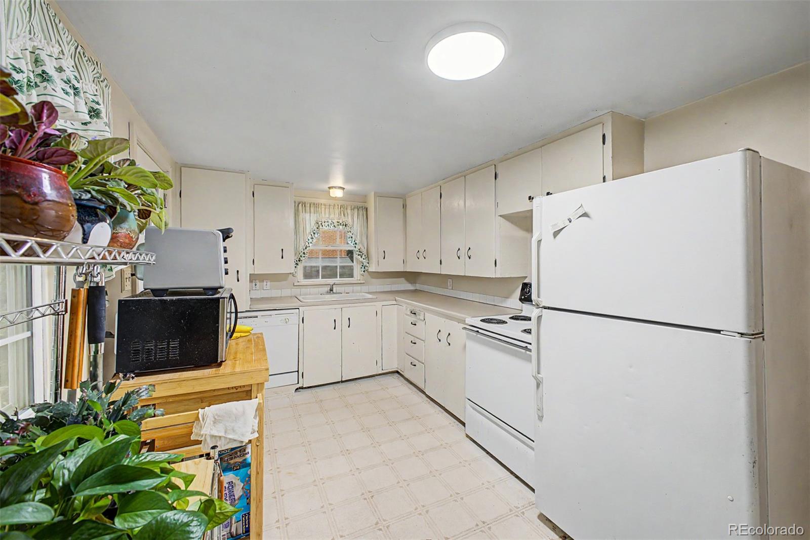 MLS Image #6 for 515  lewis street,castle rock, Colorado