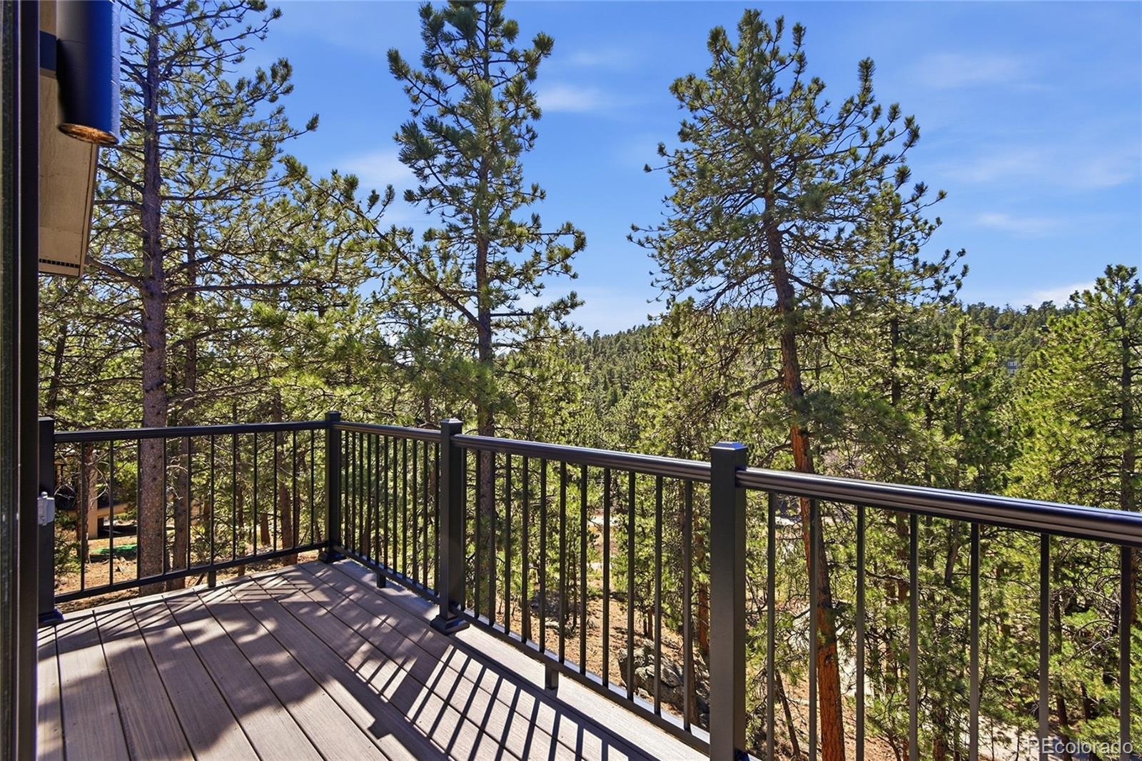 MLS Image #37 for 2861  olympia lane,evergreen, Colorado
