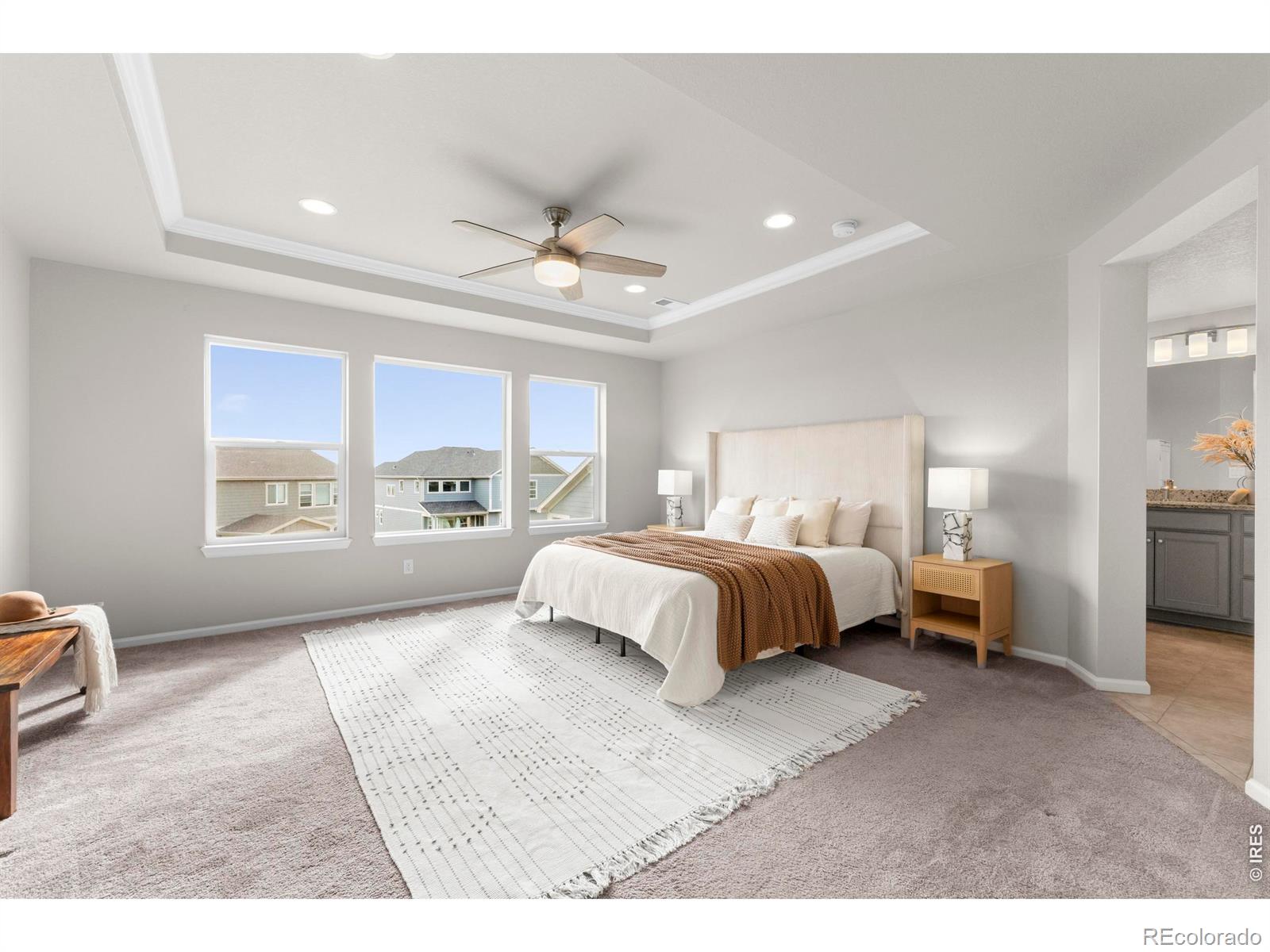 MLS Image #20 for 3352  ice lake court,loveland, Colorado