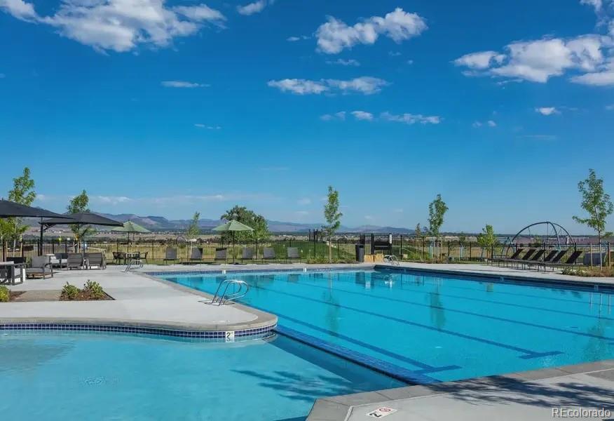 MLS Image #37 for 9111  star streak circle,littleton, Colorado