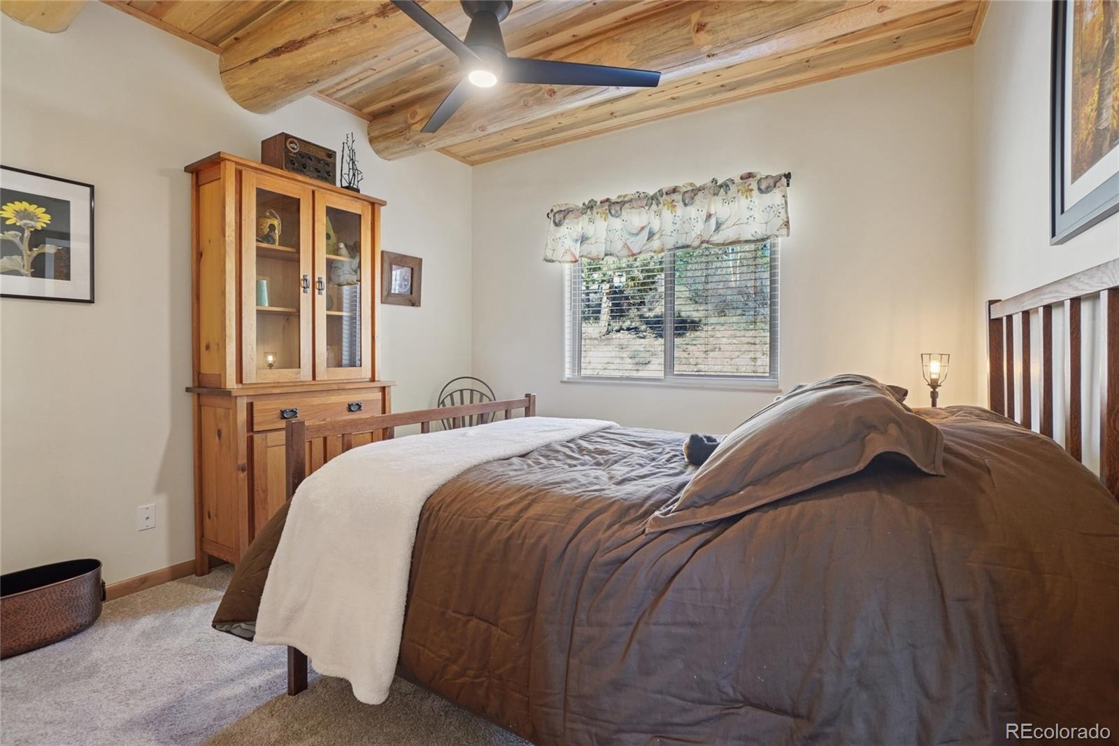 MLS Image #33 for 884  pine hollow road ,bailey, Colorado