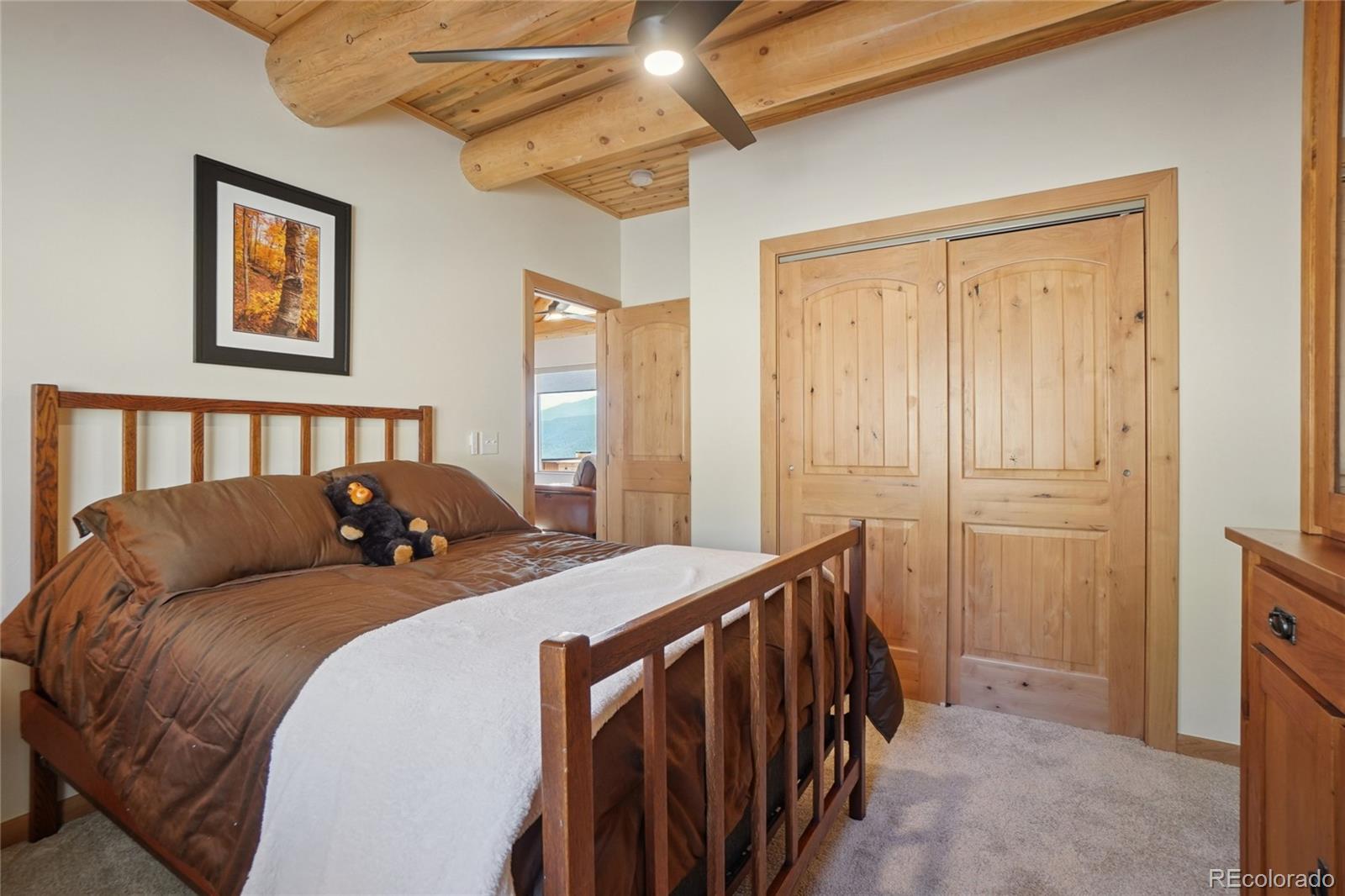 MLS Image #34 for 884  pine hollow road ,bailey, Colorado