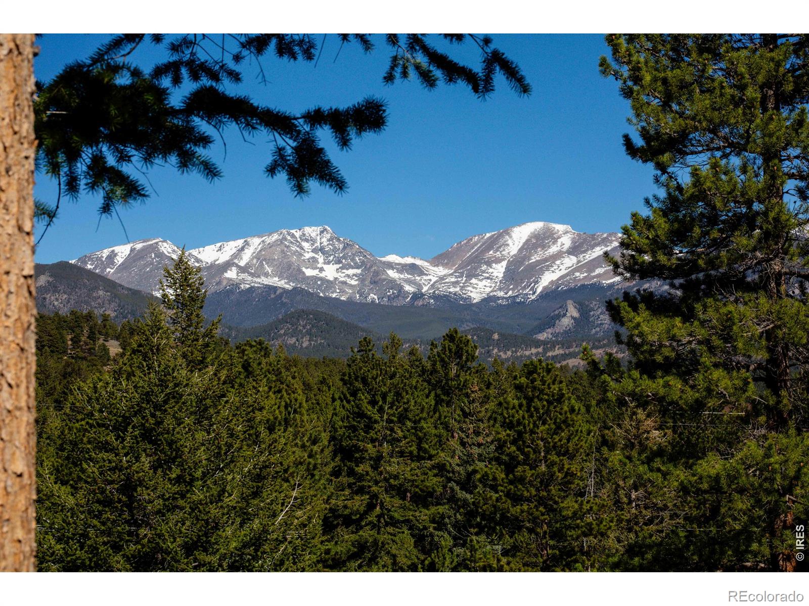 MLS Image #2 for 2728  cumulus drive,estes park, Colorado