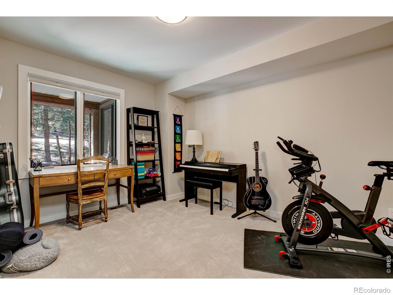 MLS Image #22 for 2728  cumulus drive,estes park, Colorado