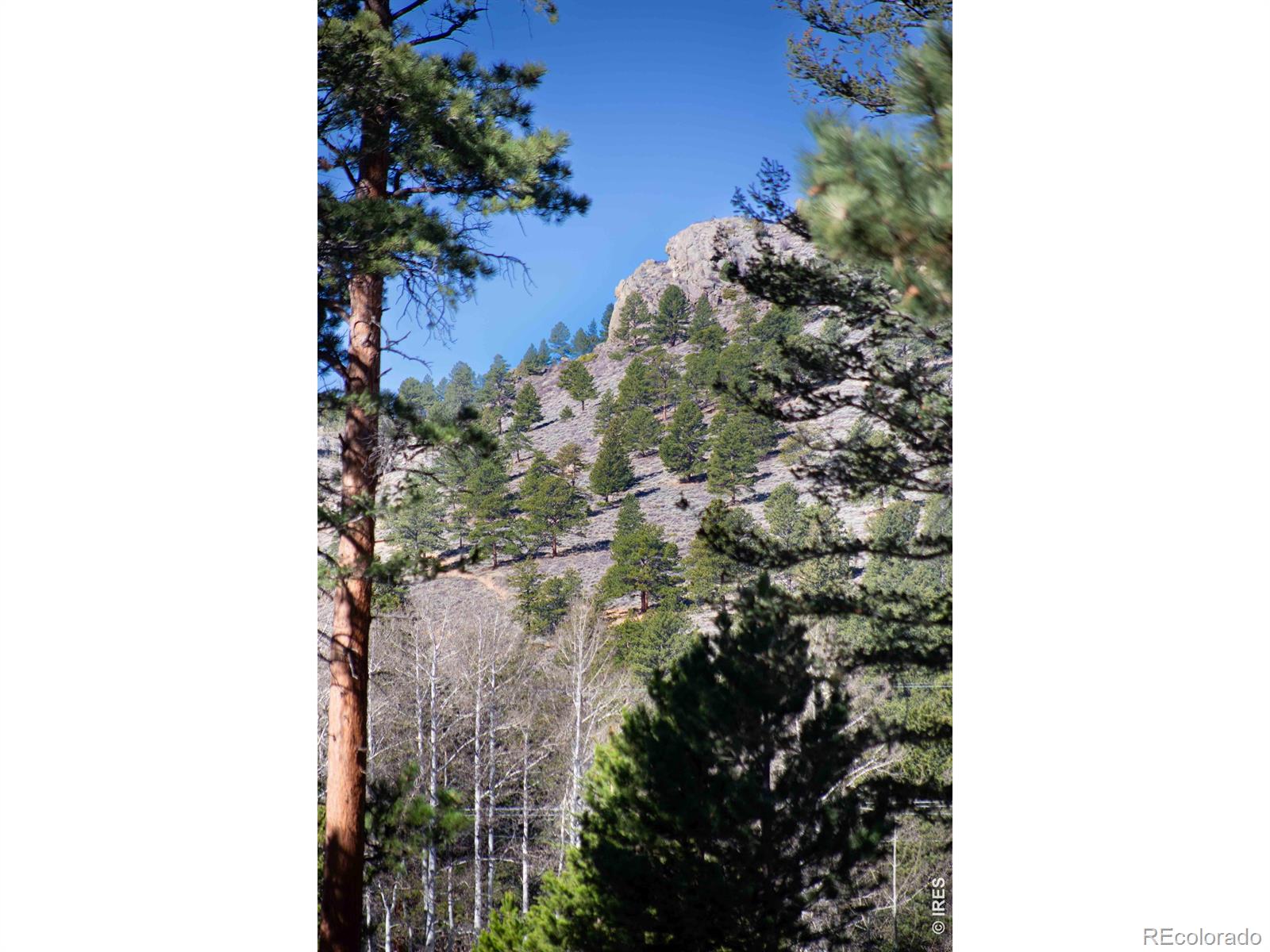 MLS Image #40 for 2728  cumulus drive,estes park, Colorado