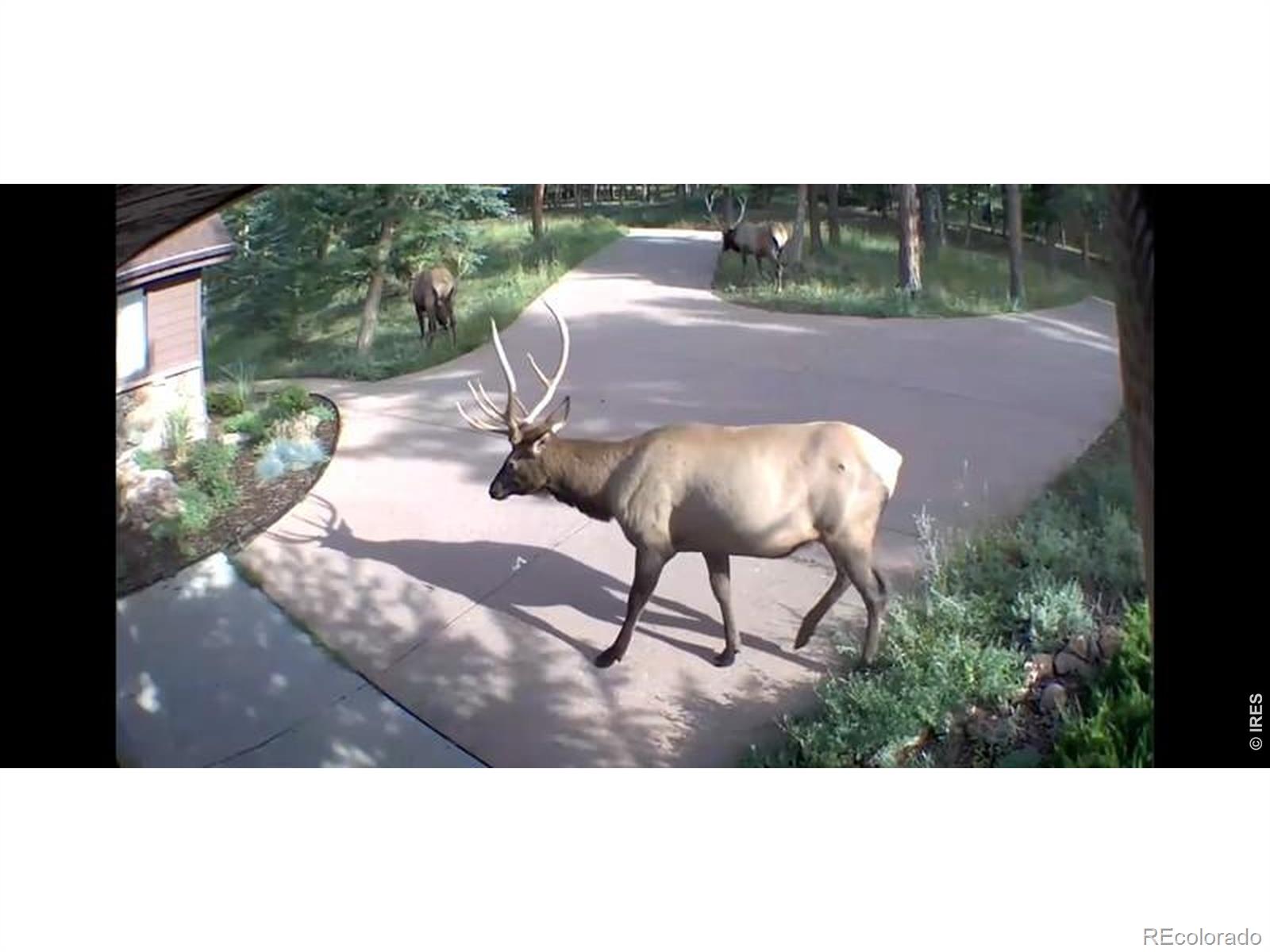 MLS Image #47 for 2728  cumulus drive,estes park, Colorado