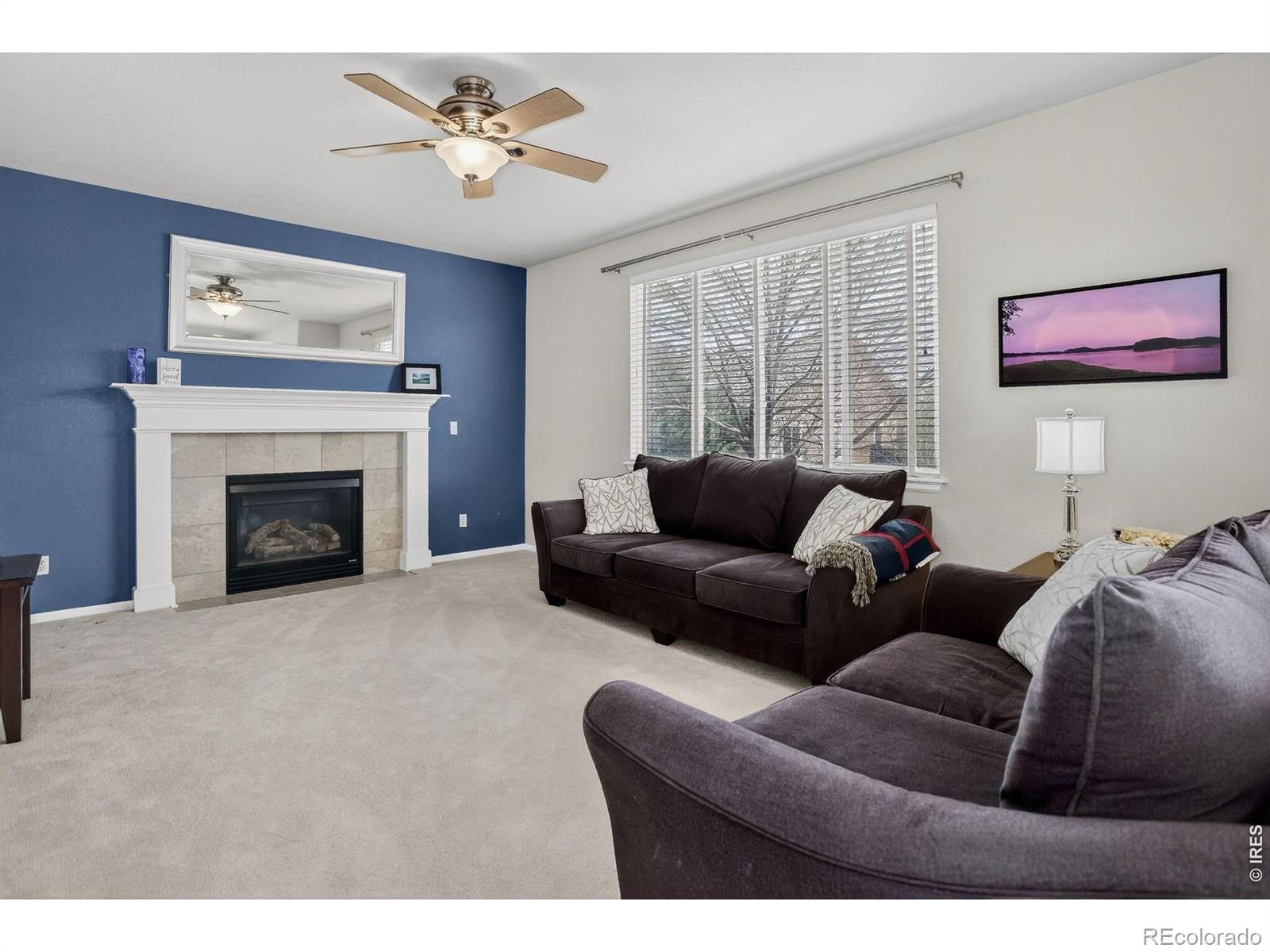 MLS Image #15 for 12850  roslyn street,thornton, Colorado