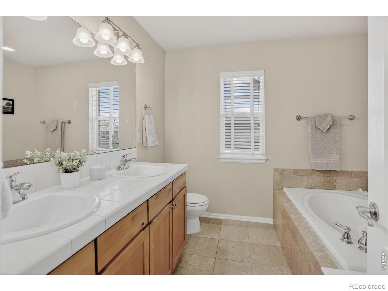 MLS Image #22 for 12850  roslyn street,thornton, Colorado