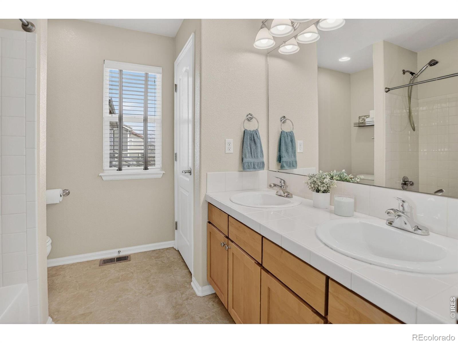 MLS Image #28 for 12850  roslyn street,thornton, Colorado