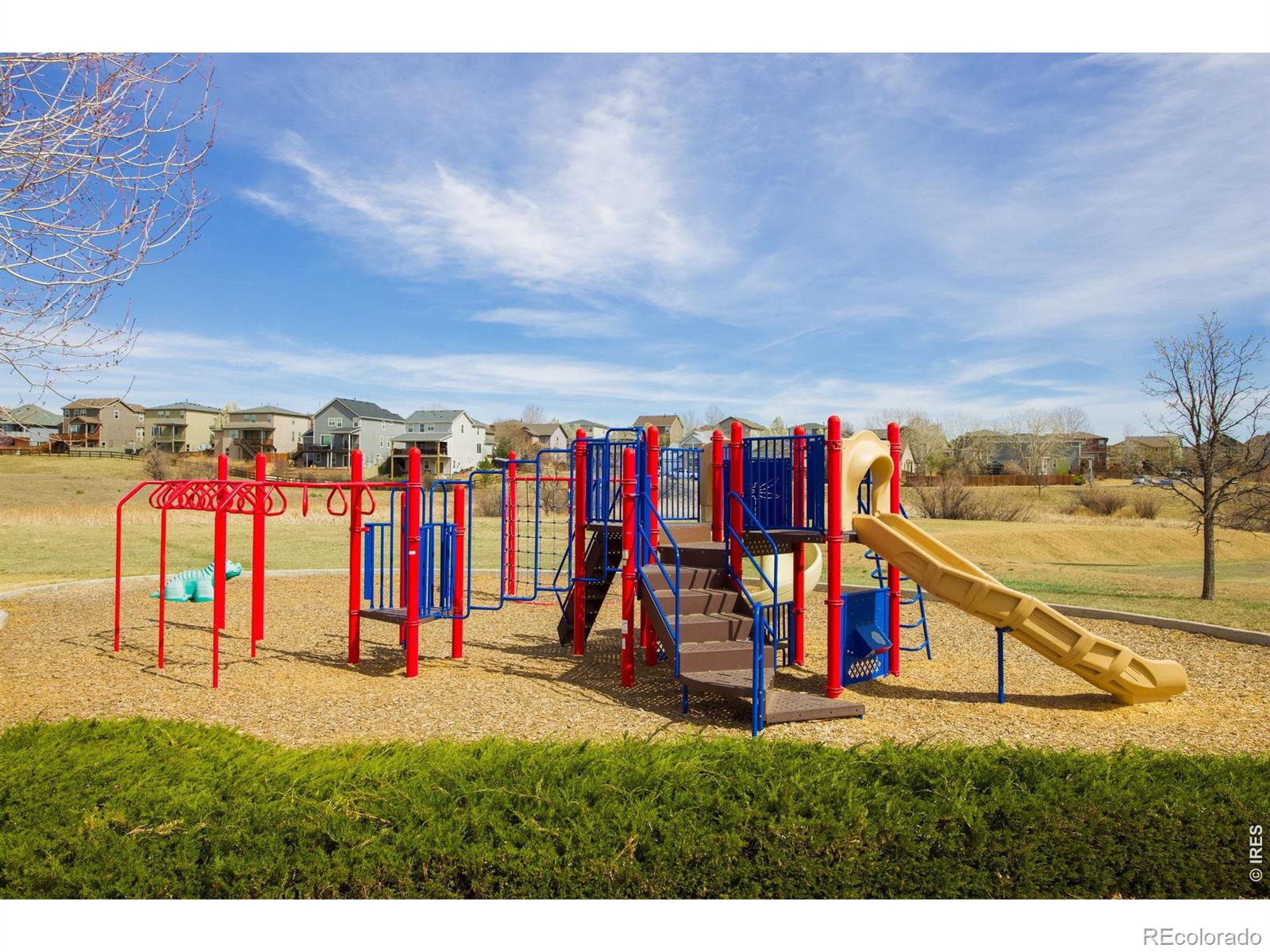 MLS Image #43 for 12850  roslyn street,thornton, Colorado