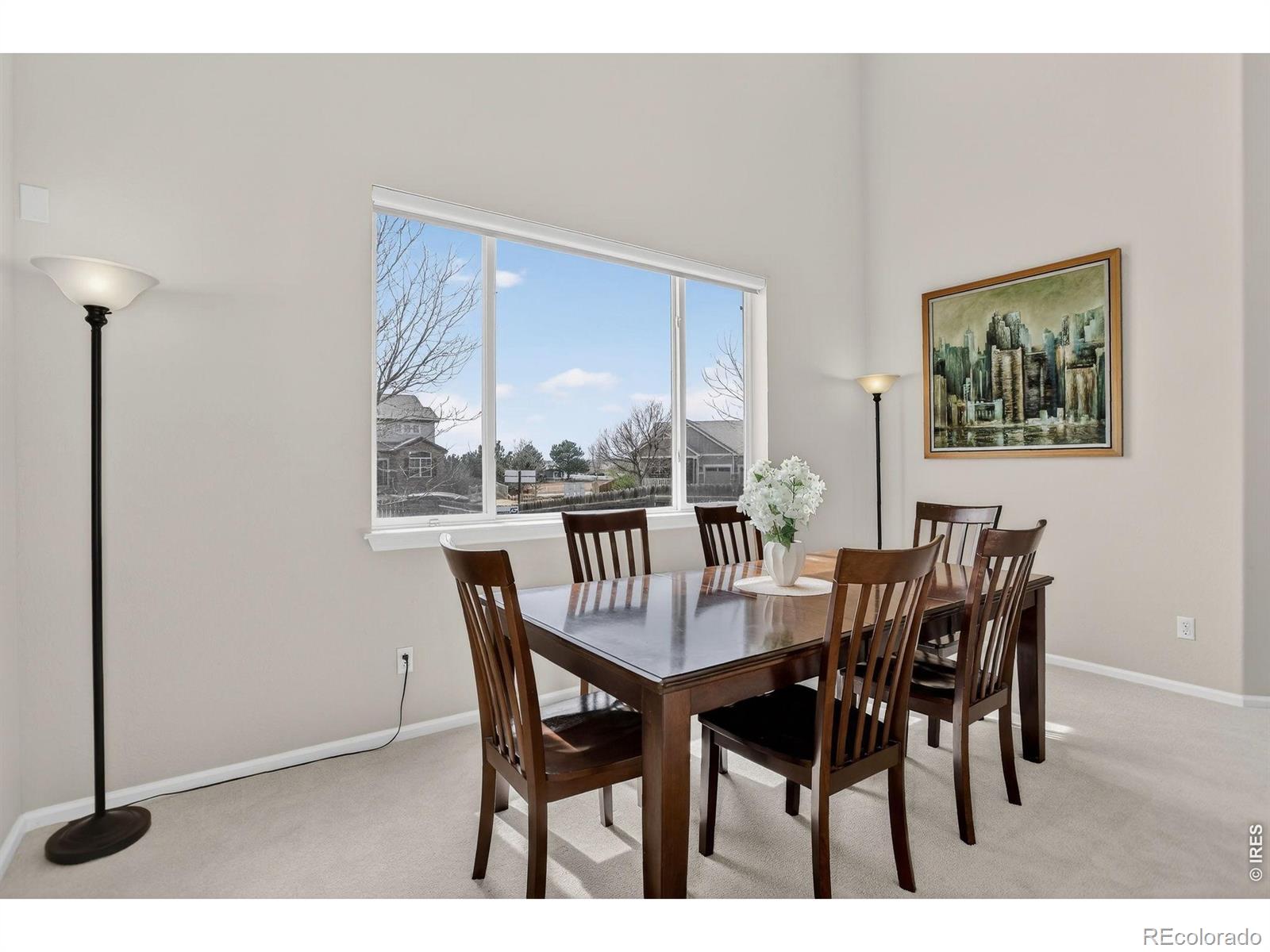 MLS Image #5 for 12850  roslyn street,thornton, Colorado