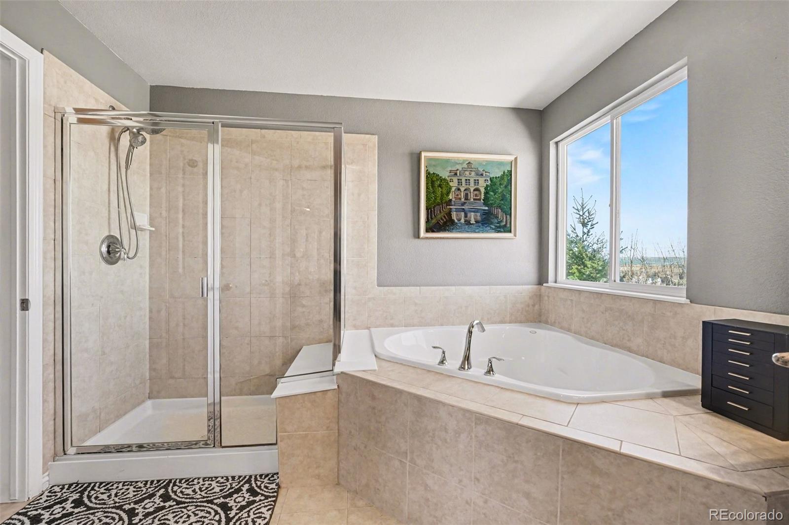 MLS Image #20 for 13995  albion way,thornton, Colorado