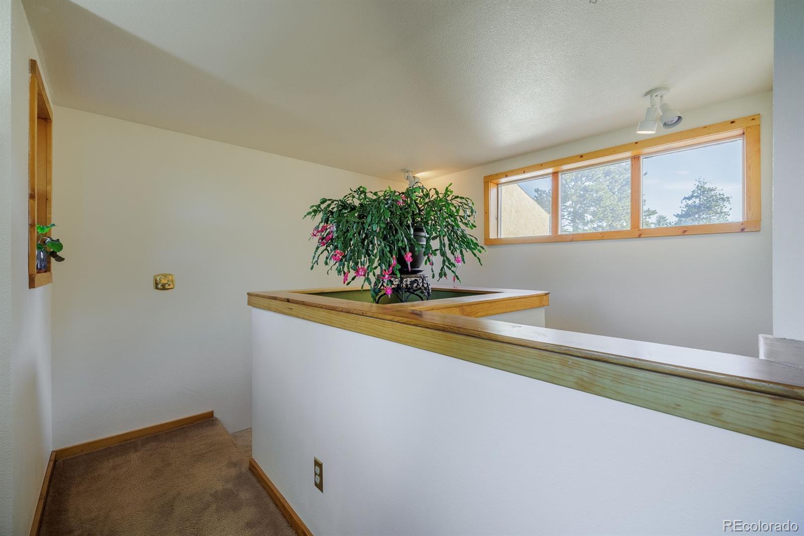 MLS Image #13 for 240  crestwood drive,woodland park, Colorado